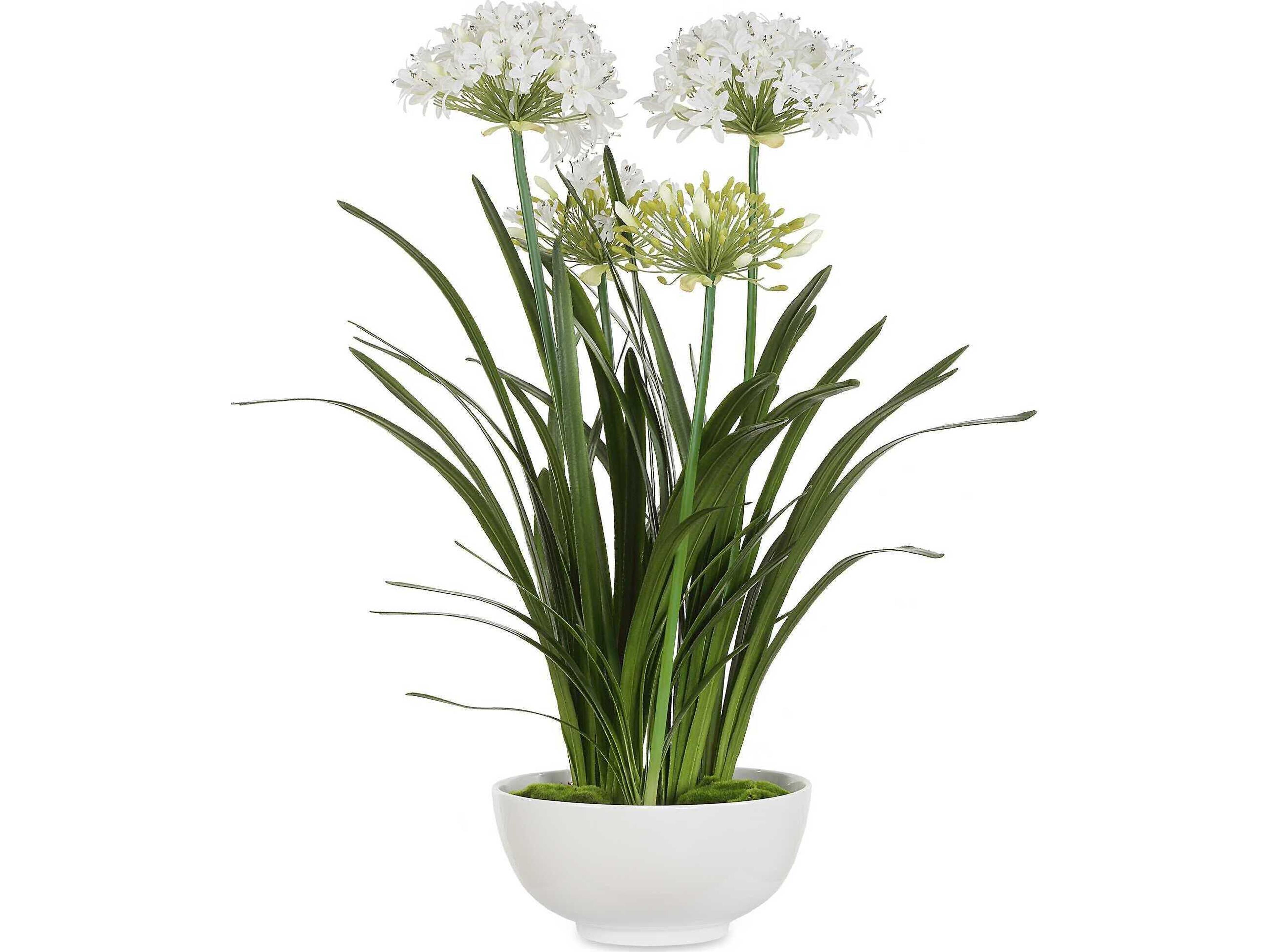 Uttermost Purity Agapanthus Centerpiece