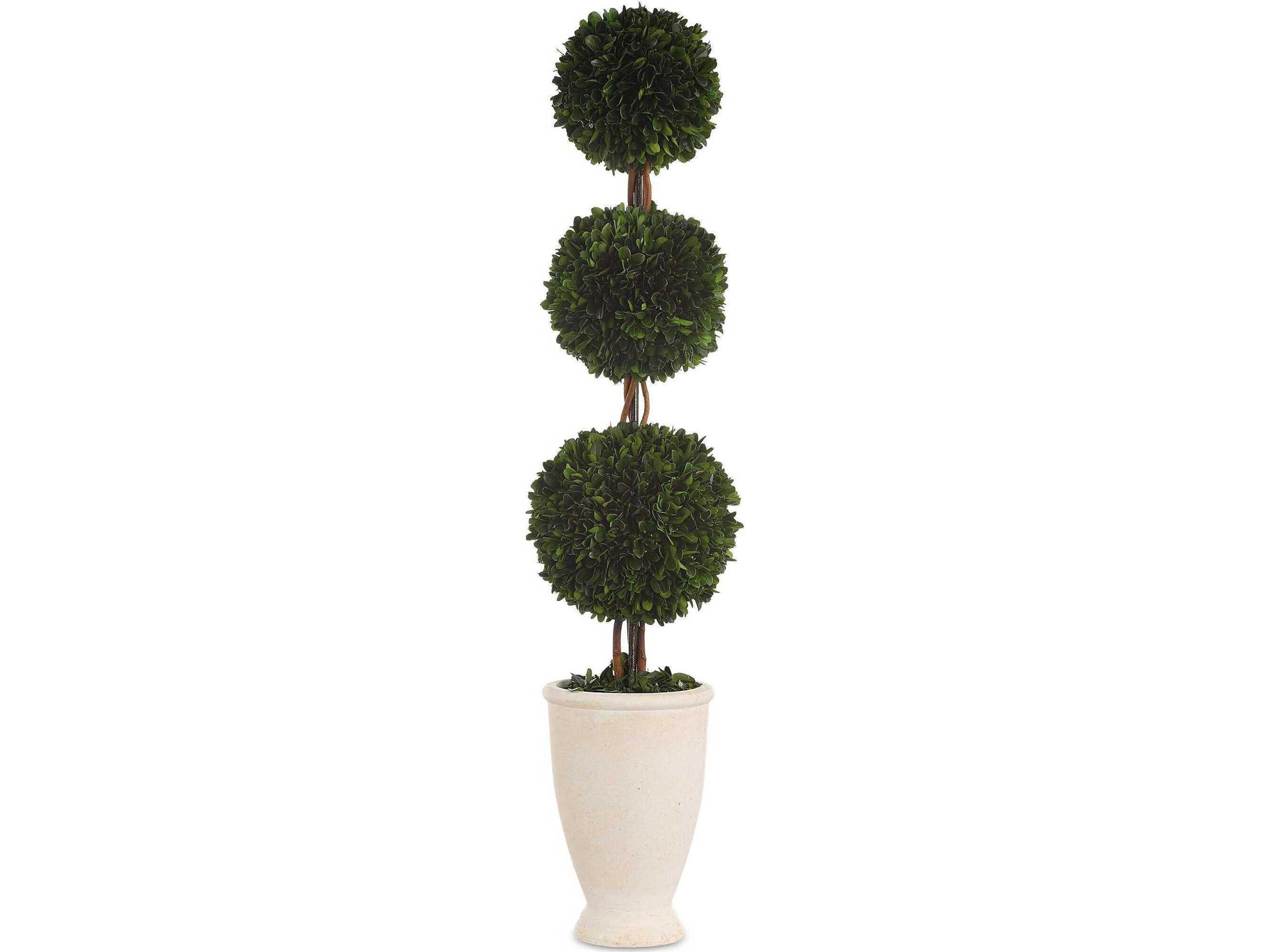 Preserved Boxwood Triple Topiary