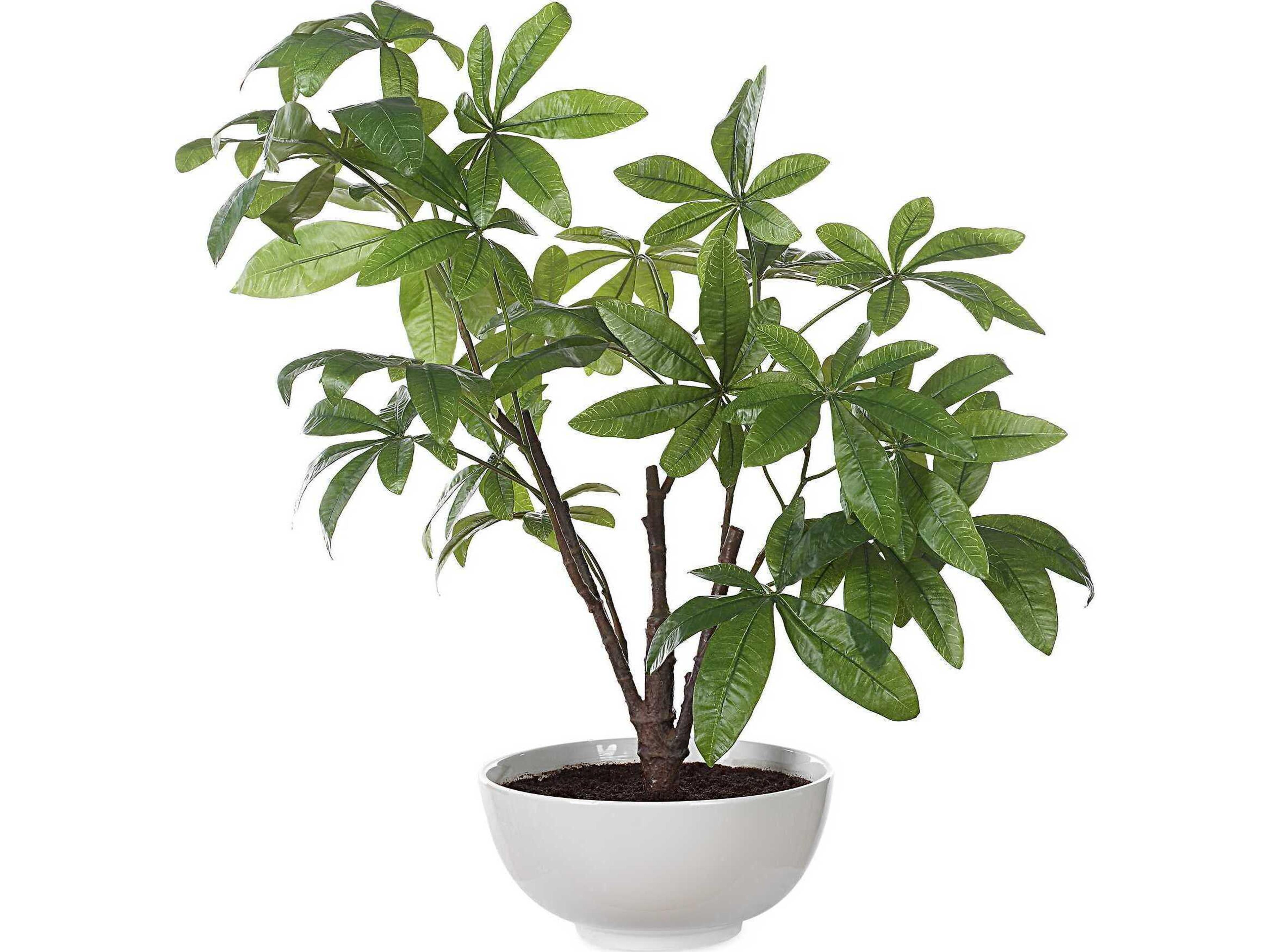 Uttermost Pachira Money Tree