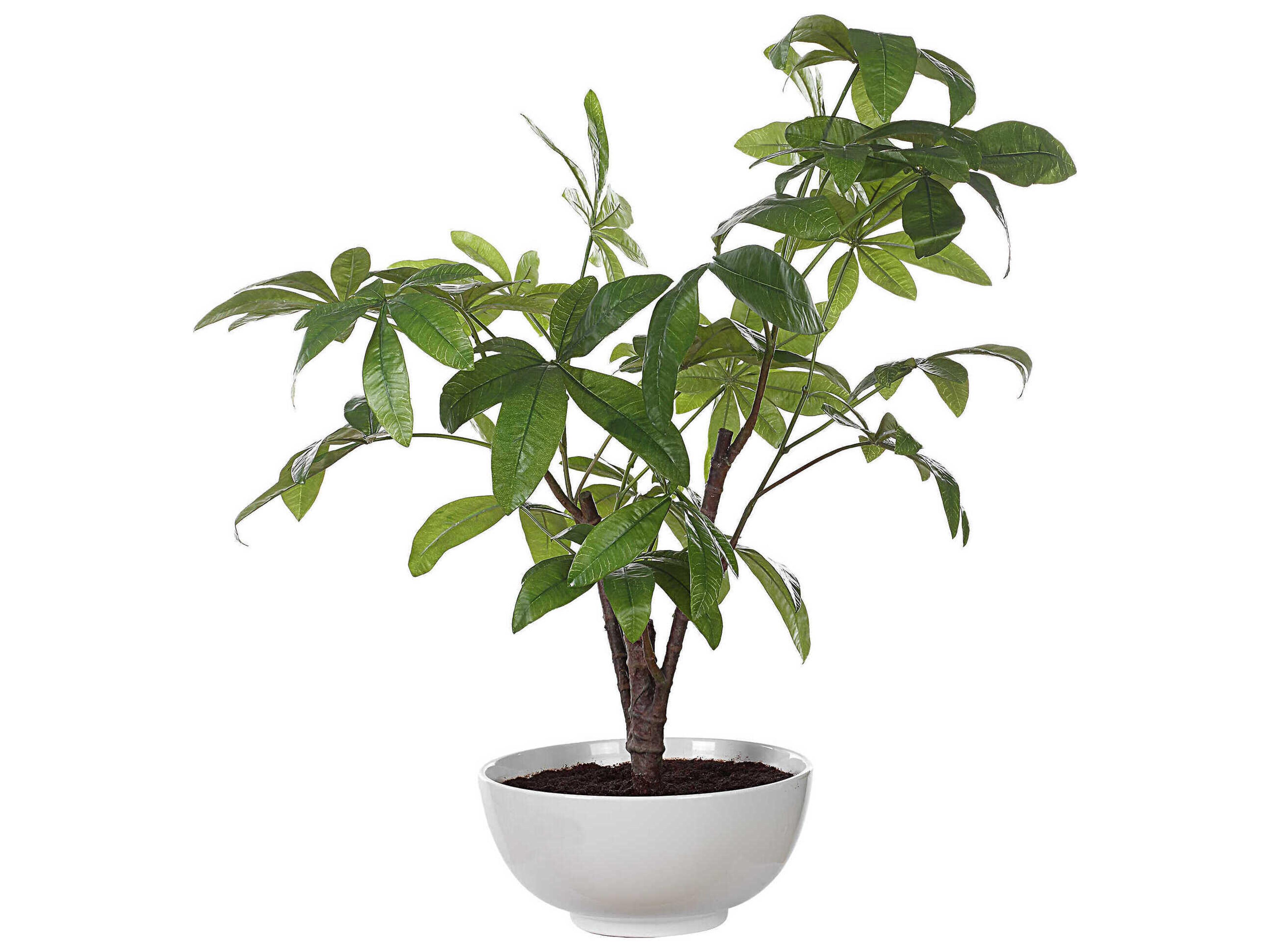 Uttermost Pachira Money Tree
