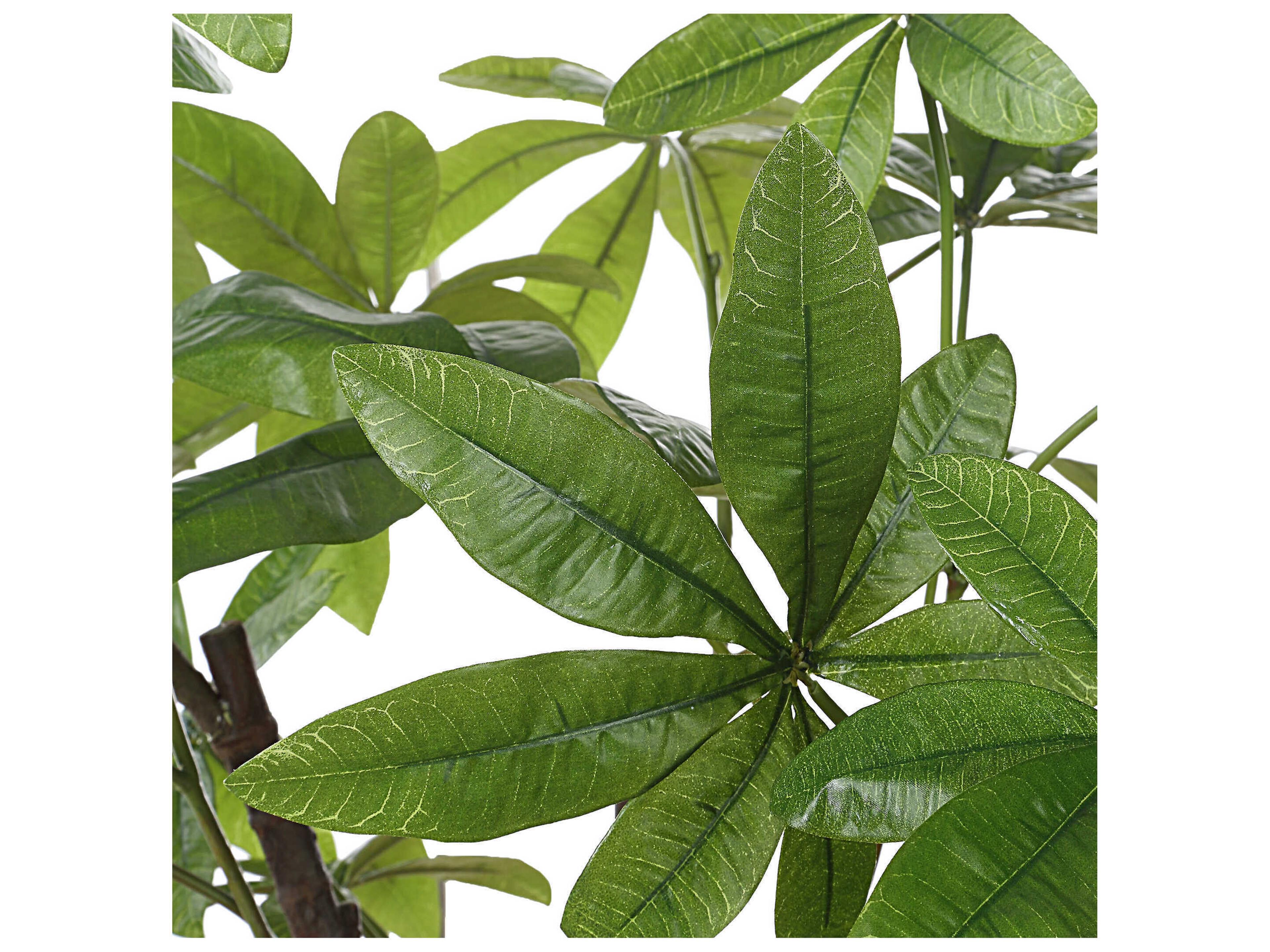 Uttermost Pachira Money Tree