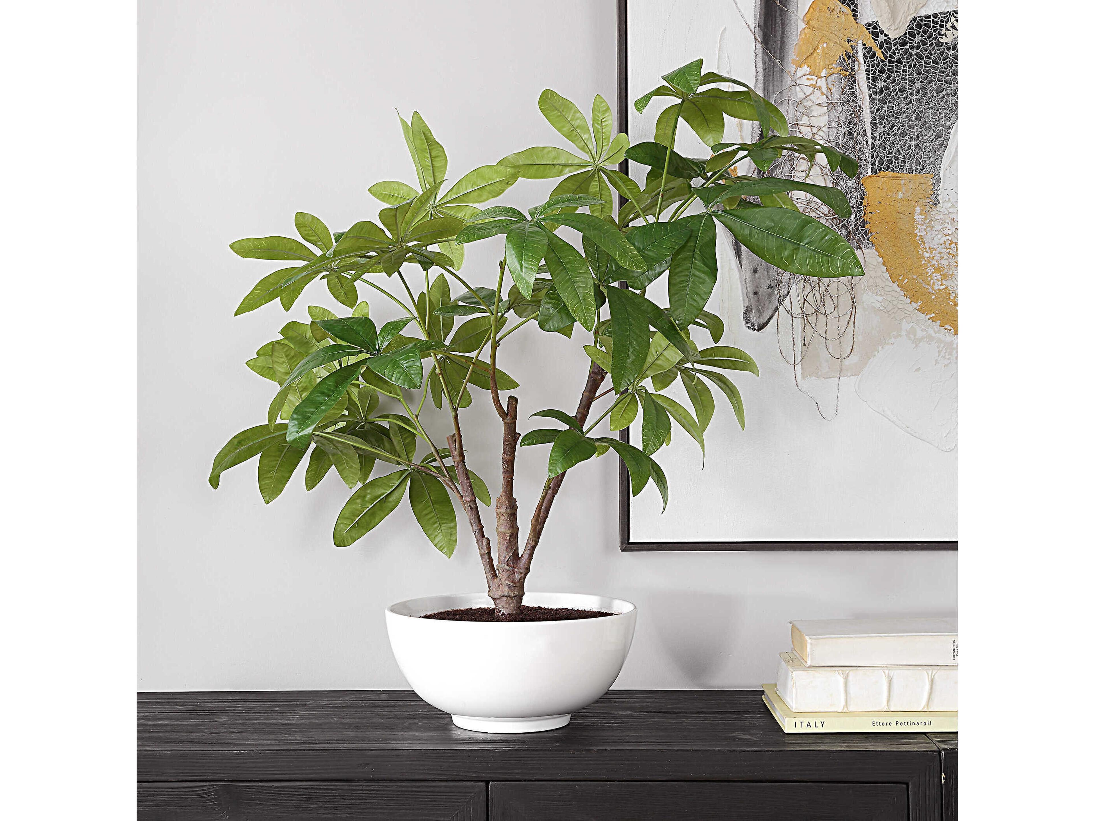 Uttermost Pachira Money Tree