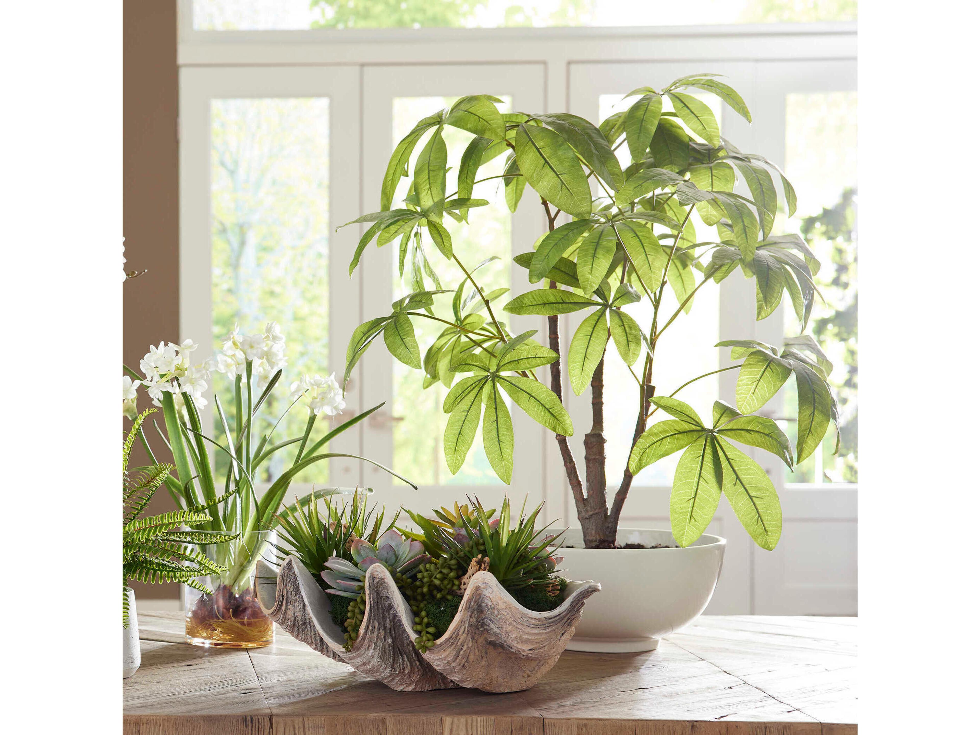 Uttermost Pachira Money Tree