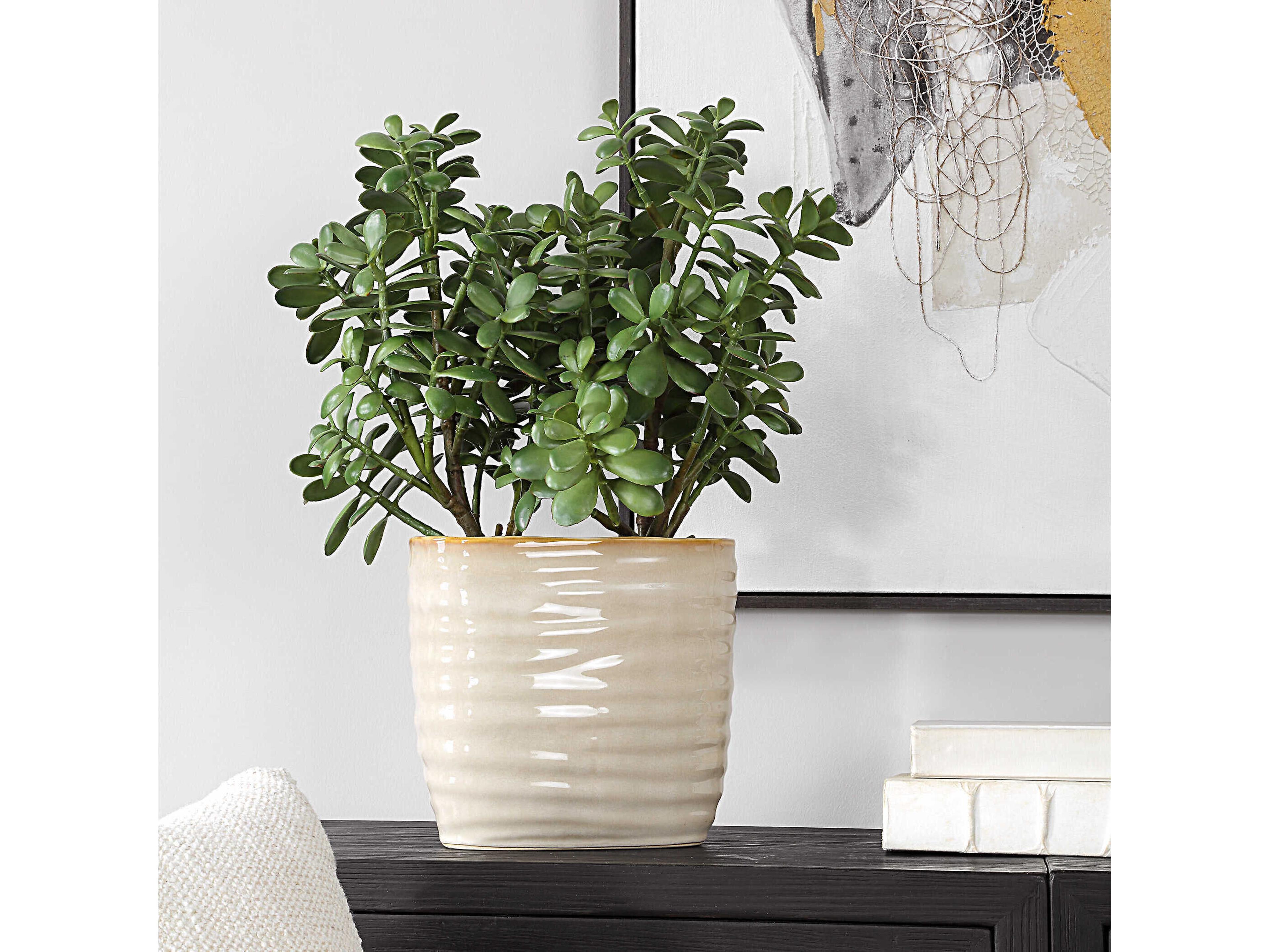 Uttermost Crassula Jade Accent Plant