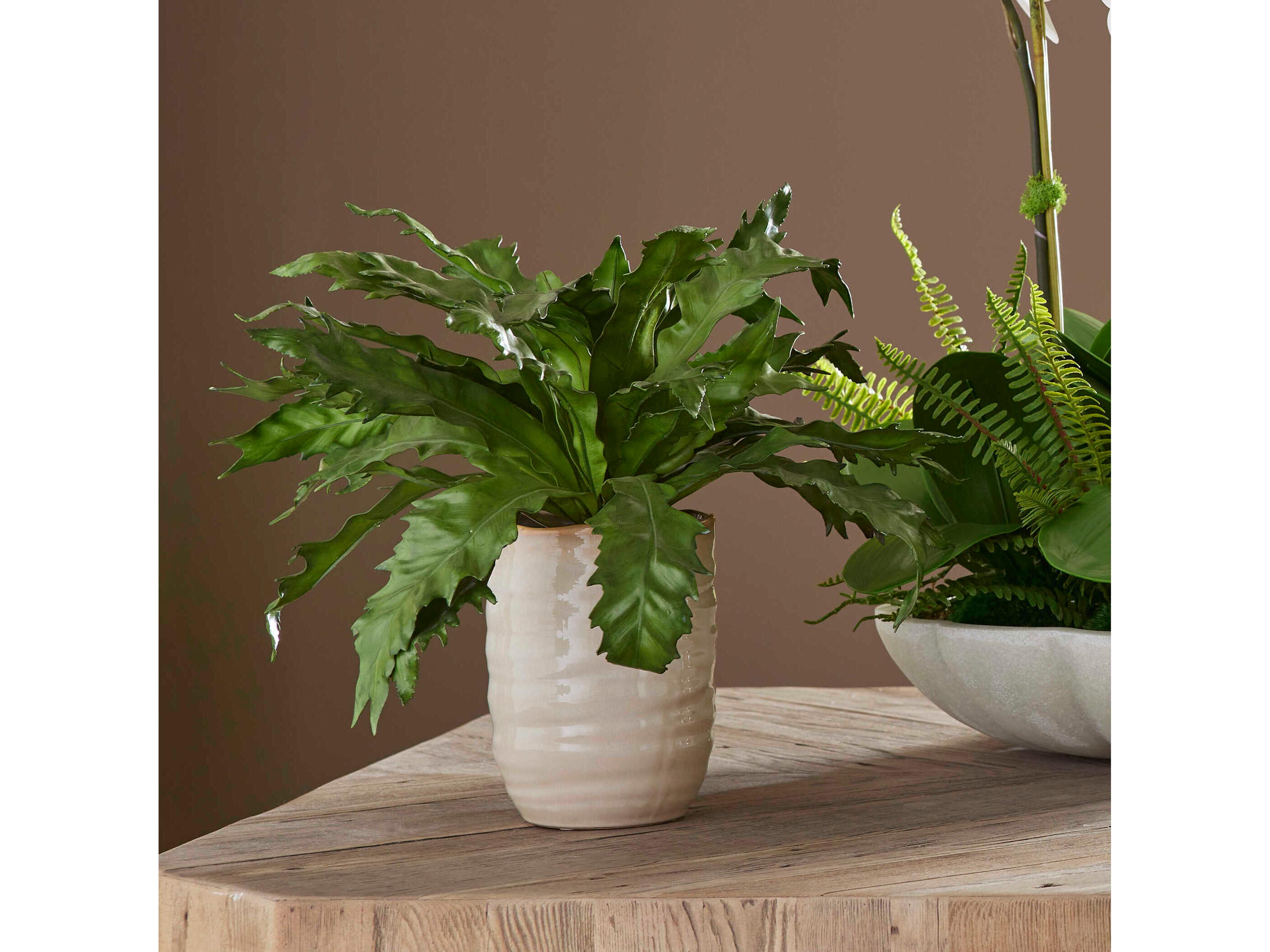 Uttermost Verdure Fern In Glazed Pot
