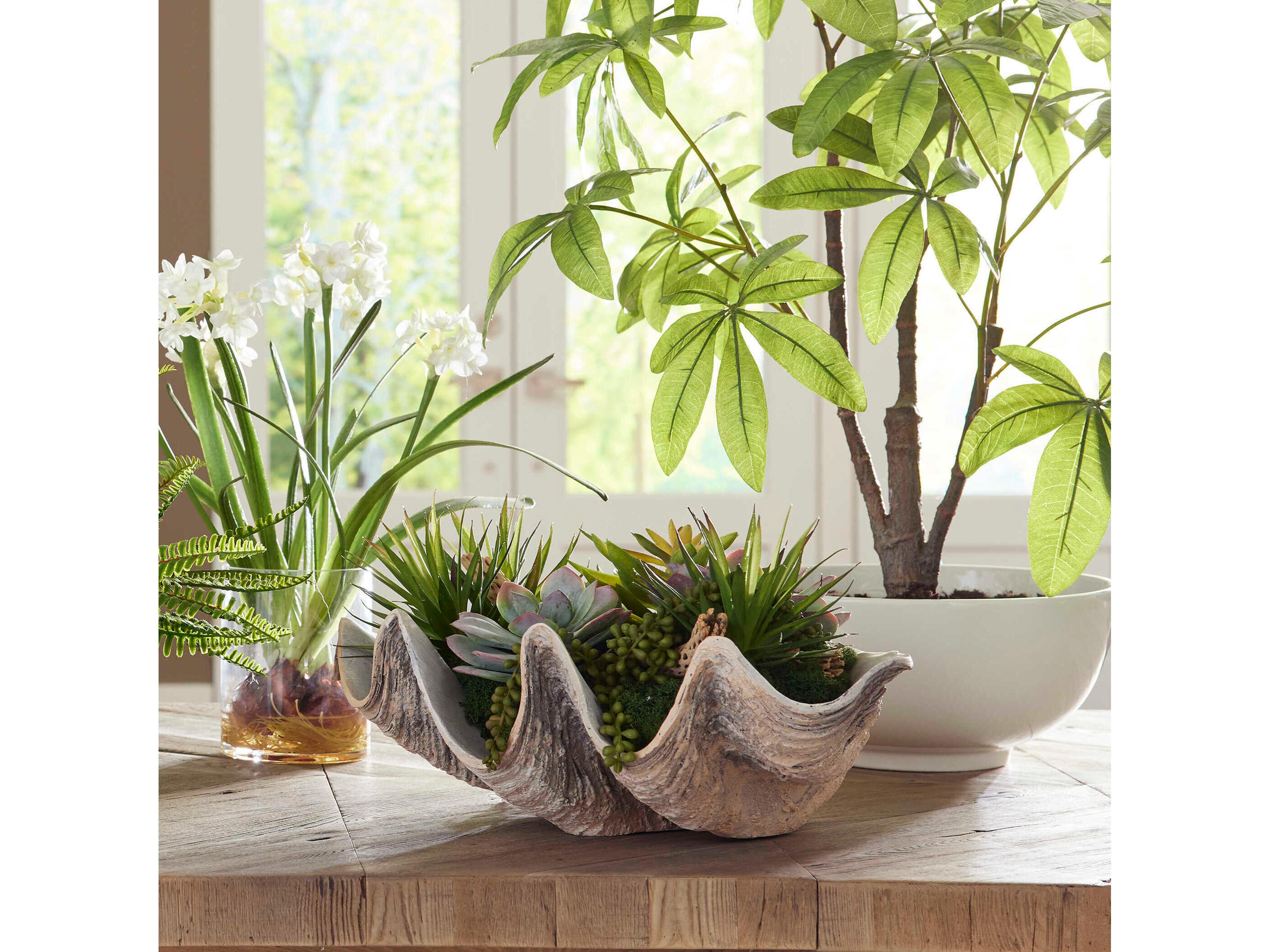 Uttermost Seaside Breeze Succulents