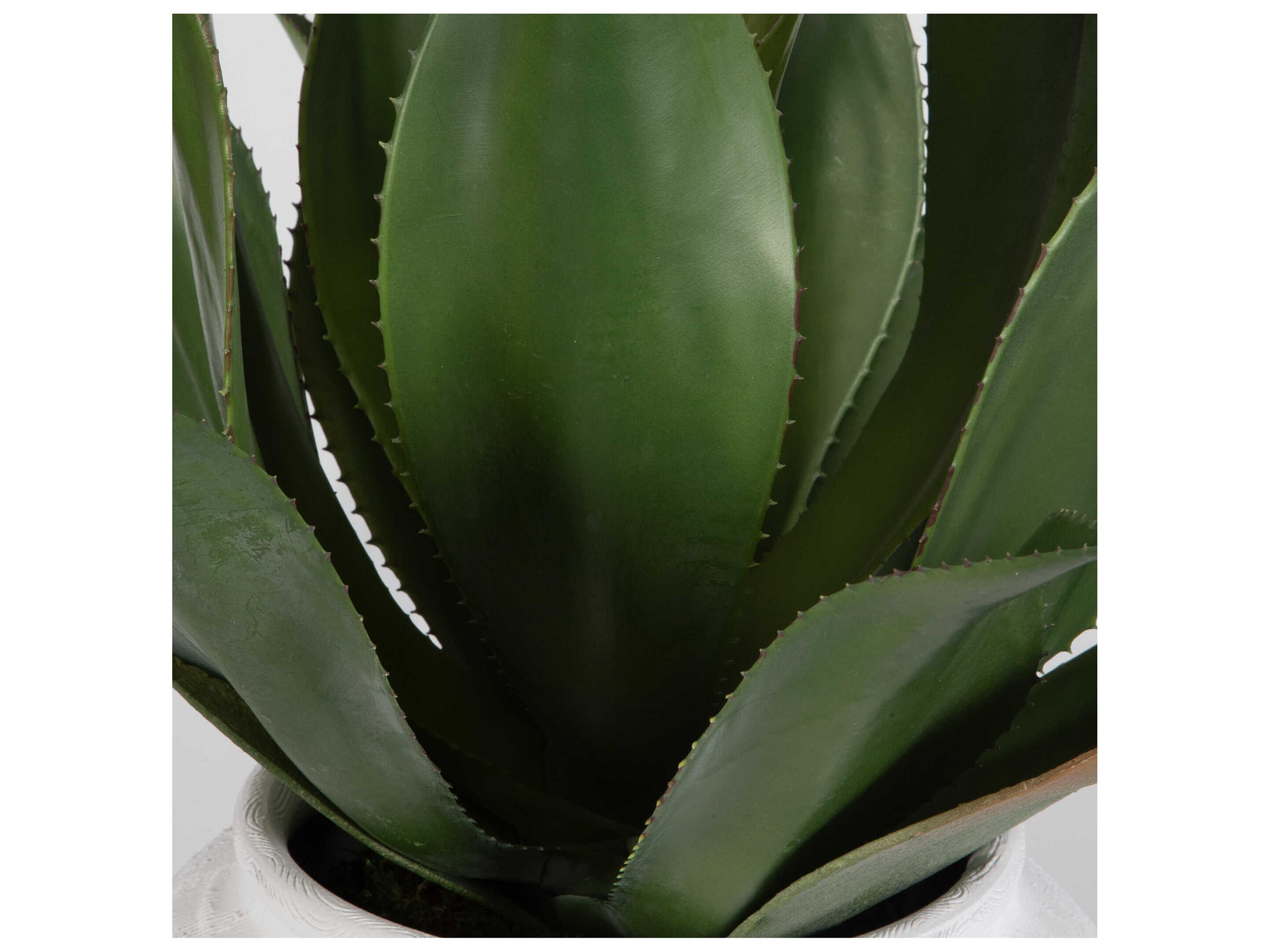 Uttermost Tierra Agave Centerpiece with Vase