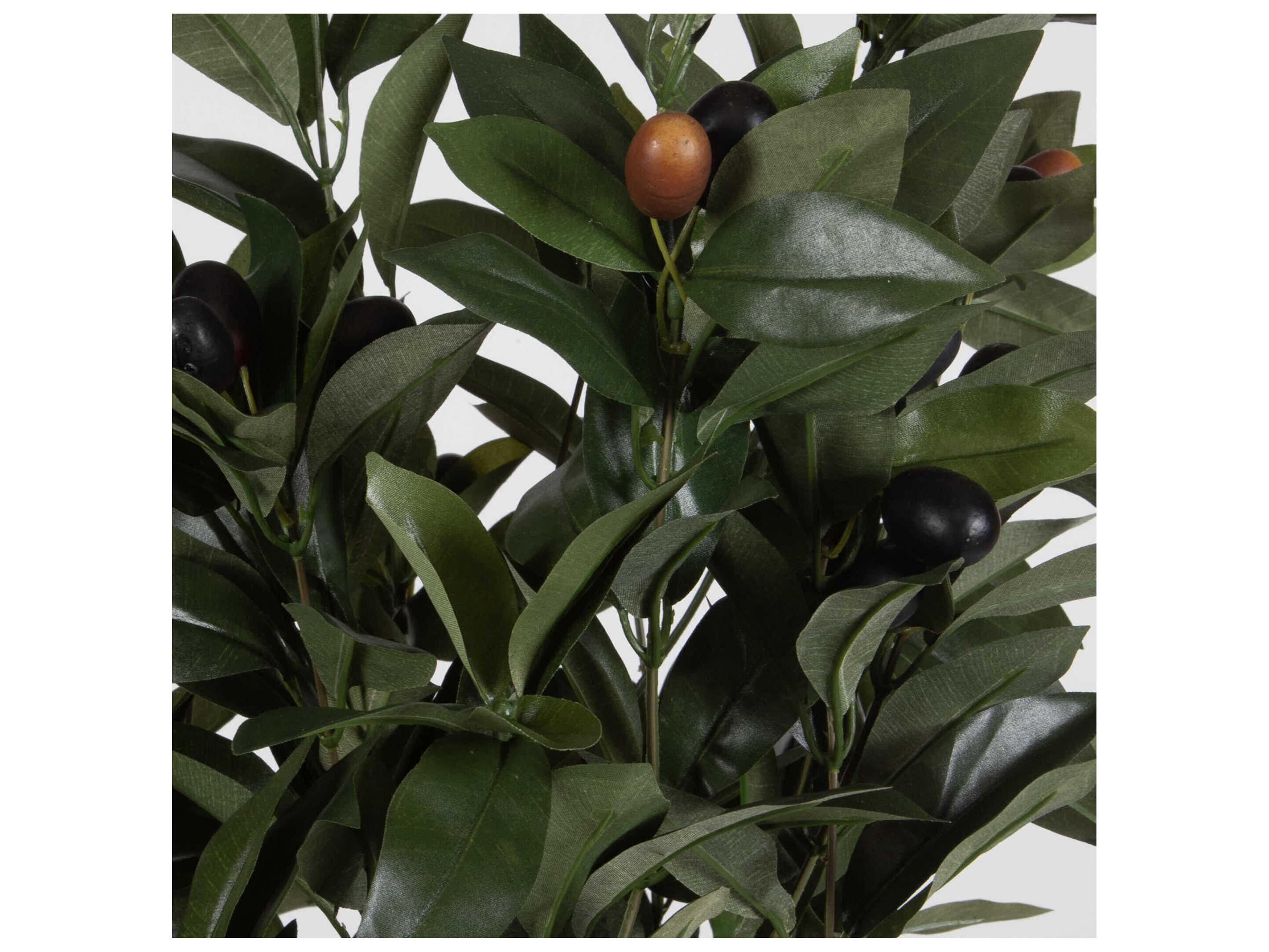 Uttermost Elena Olive Centerpiece