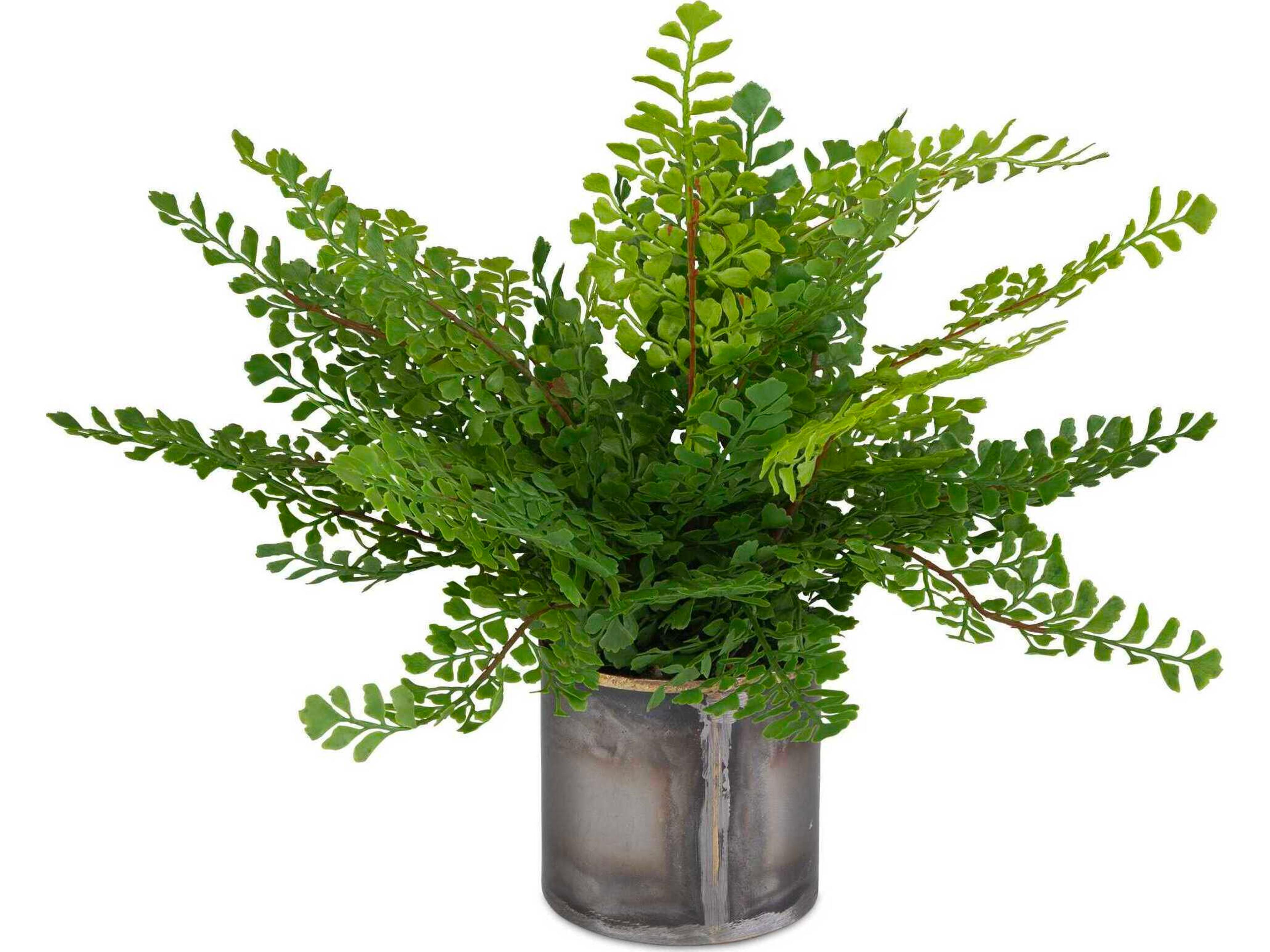 Uttermost Maidenhair Fern In Oxidized Container