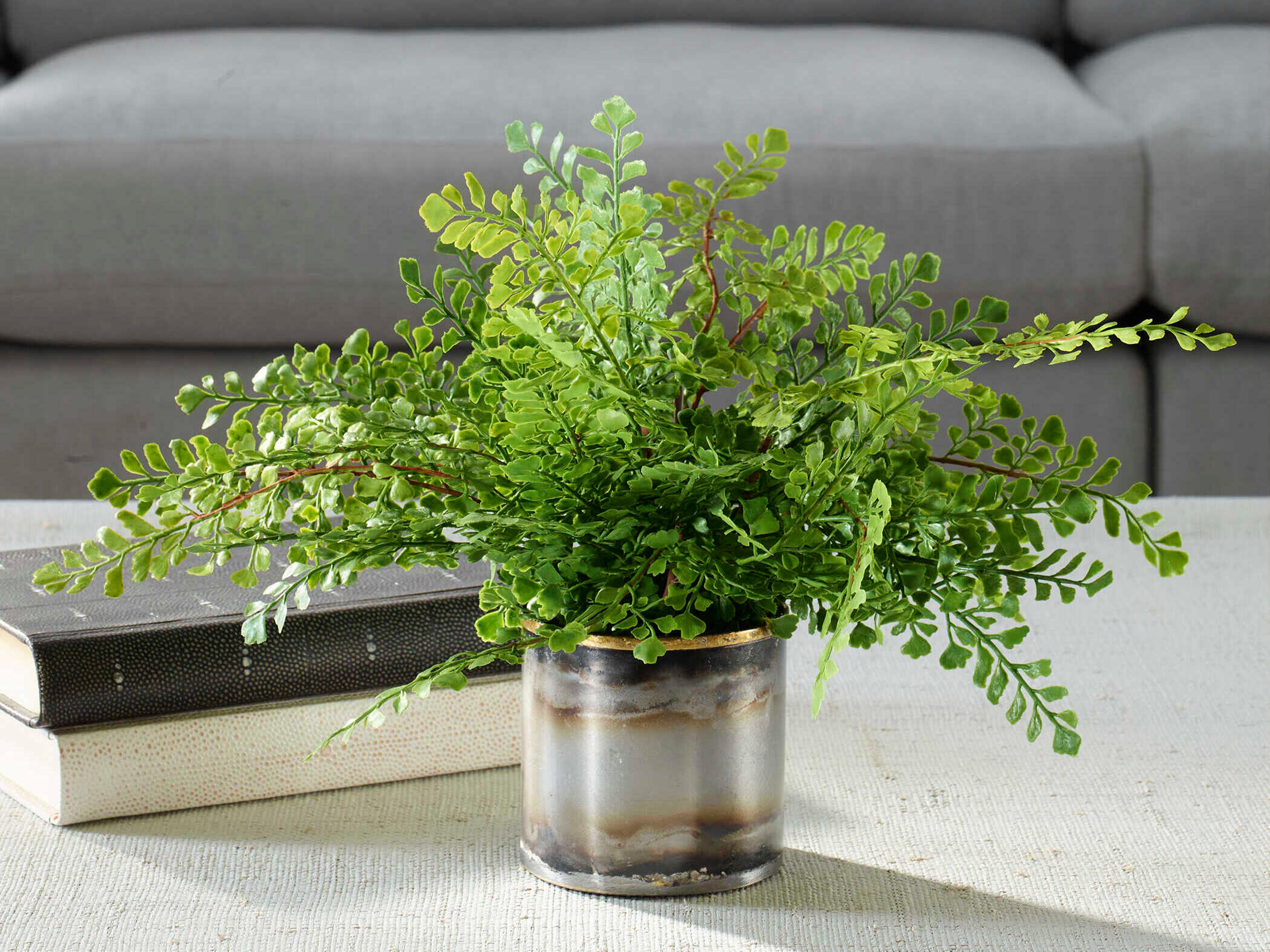 Uttermost Maidenhair Fern In Oxidized Container