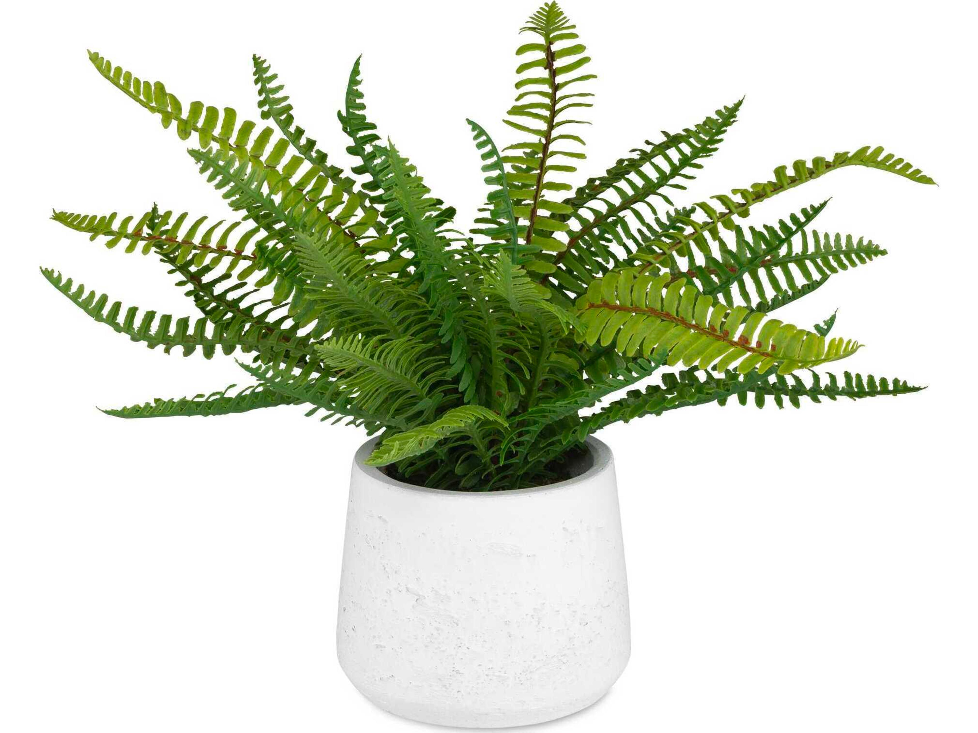 Uttermost Boston Fern In White Ceramic Pot