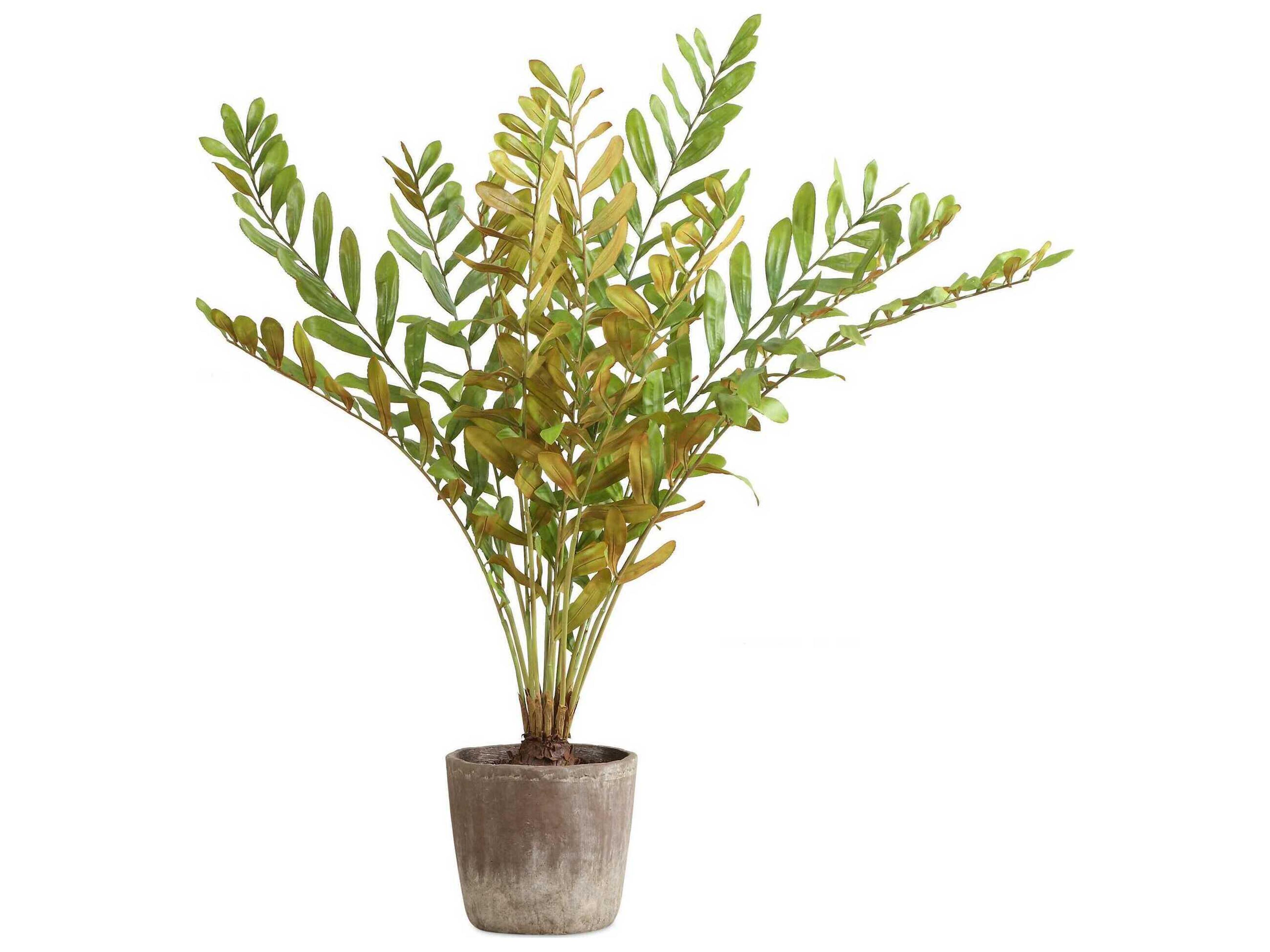 Uttermost Zamia Palm Accent In Planter
