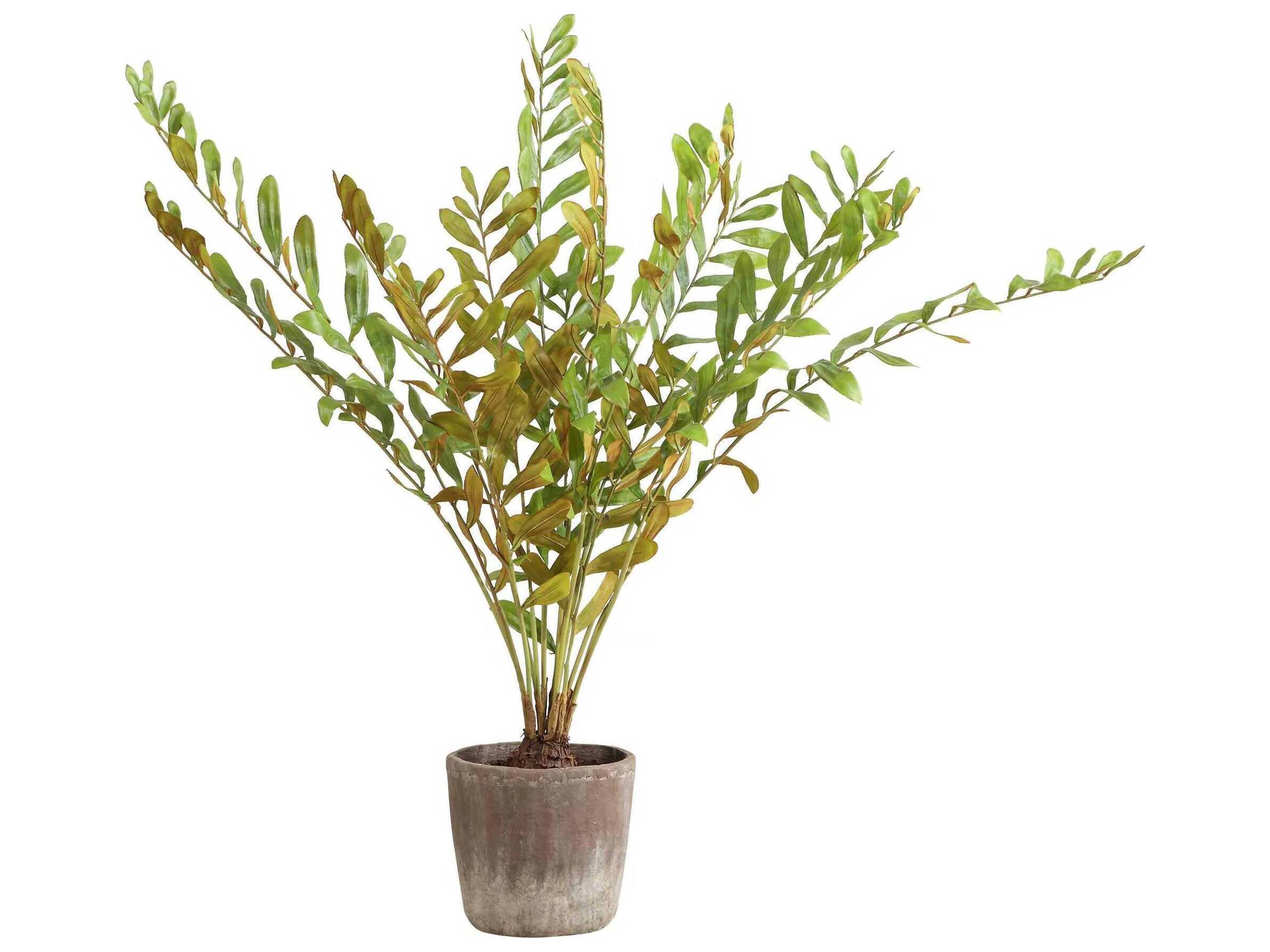 Uttermost Zamia Palm Accent In Planter