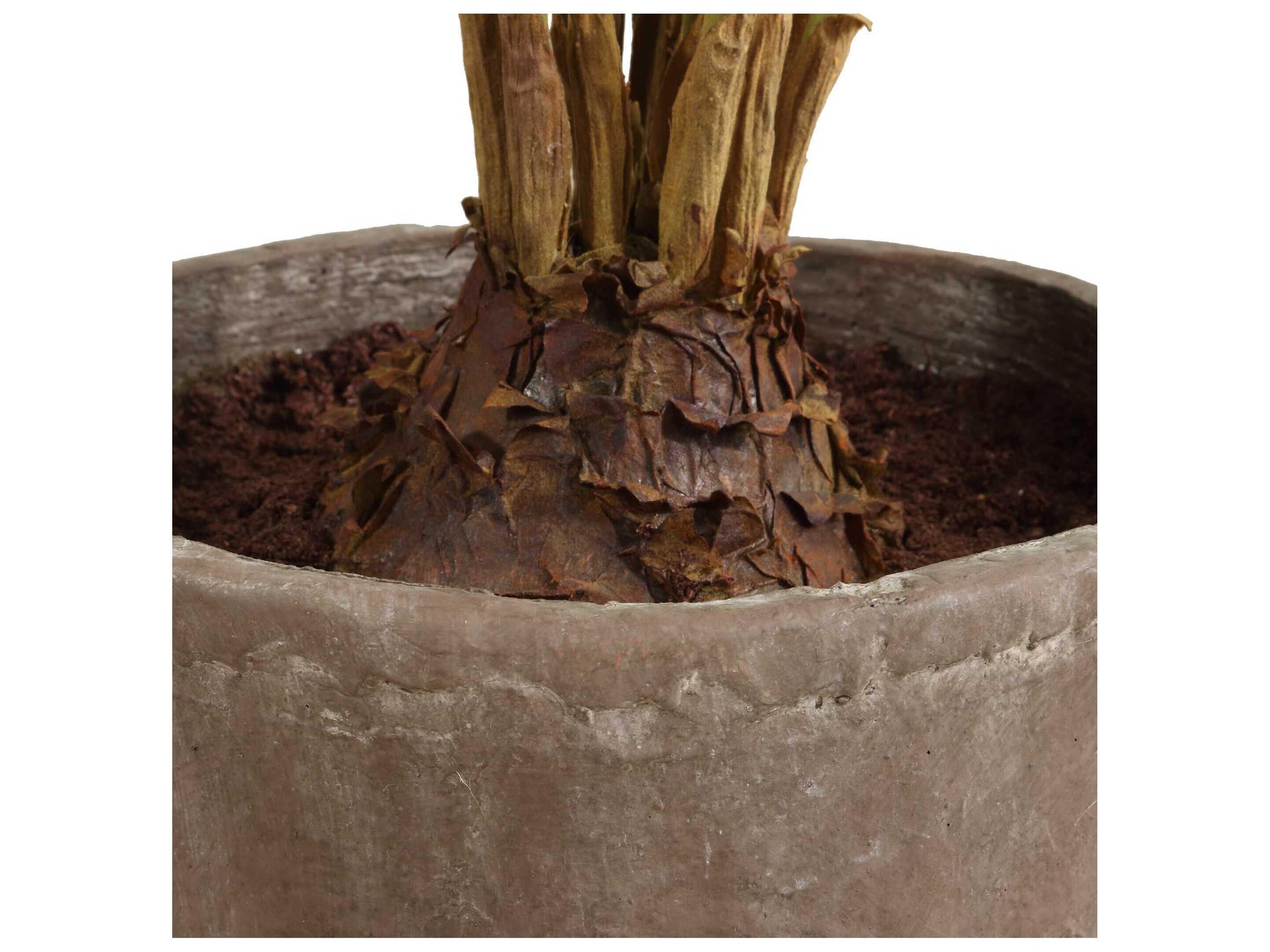 Uttermost Zamia Palm Accent In Planter