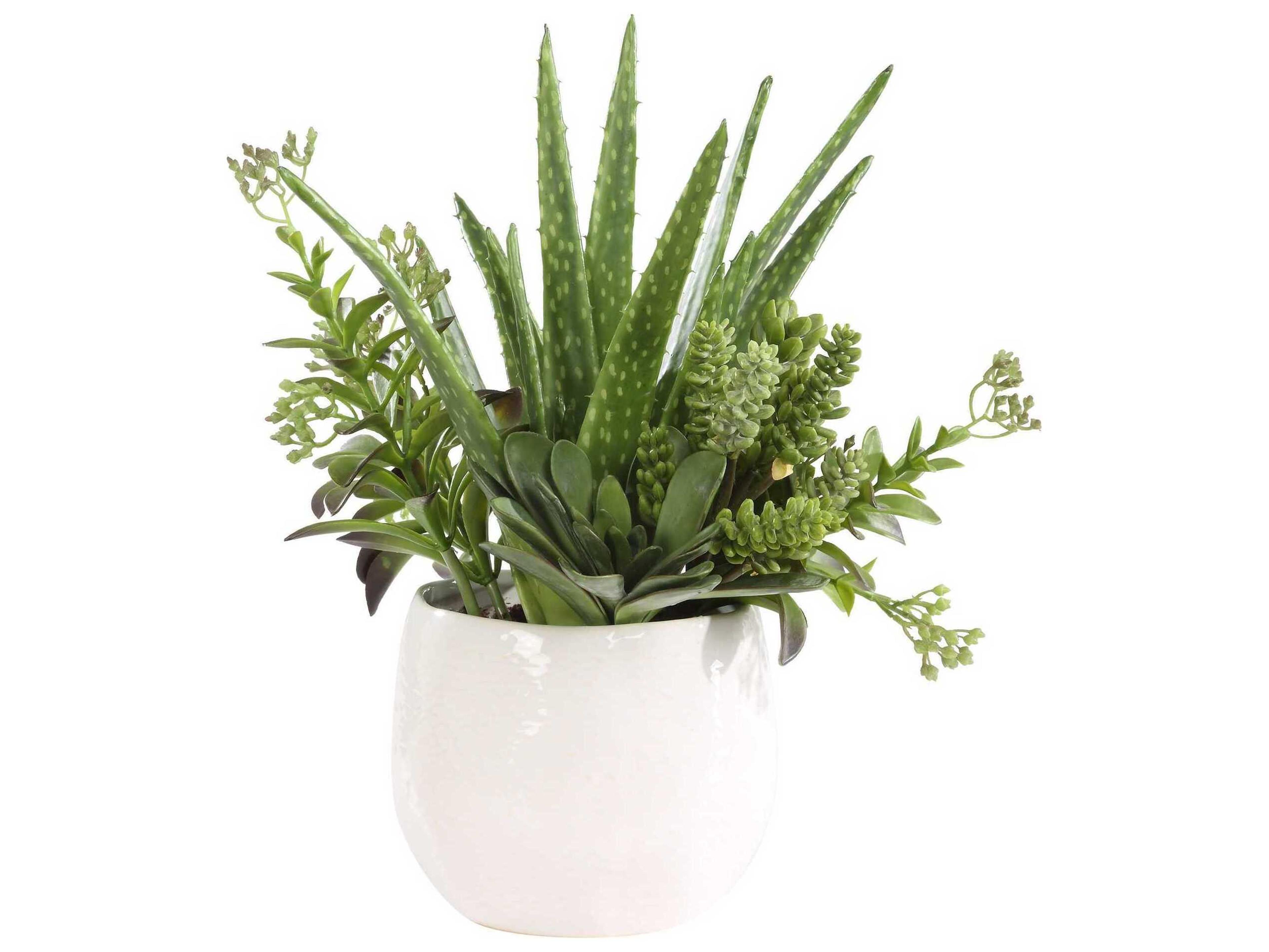 Uttermost Sundown Succulent Accent Planter