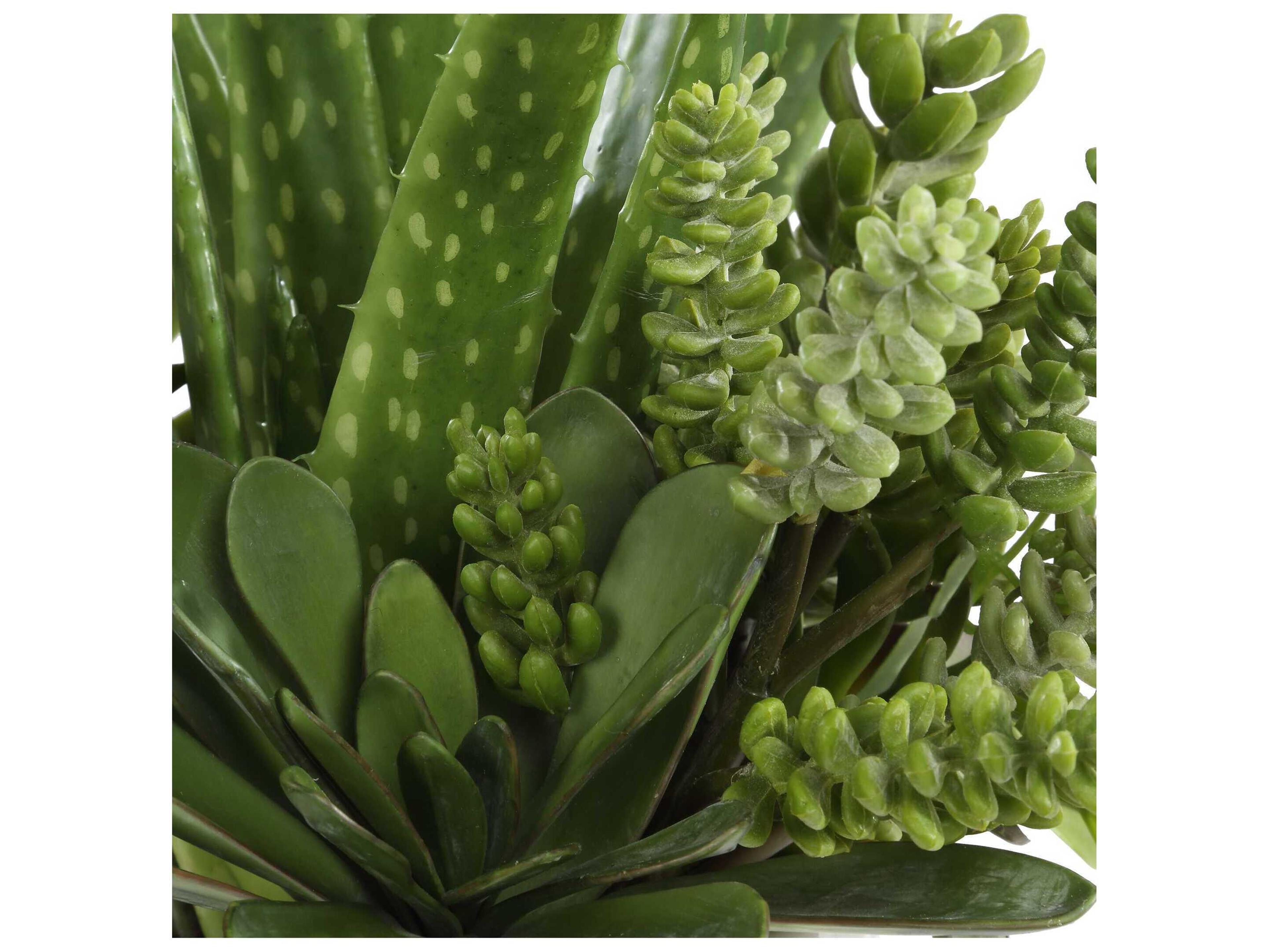 Uttermost Sundown Succulent Accent Planter