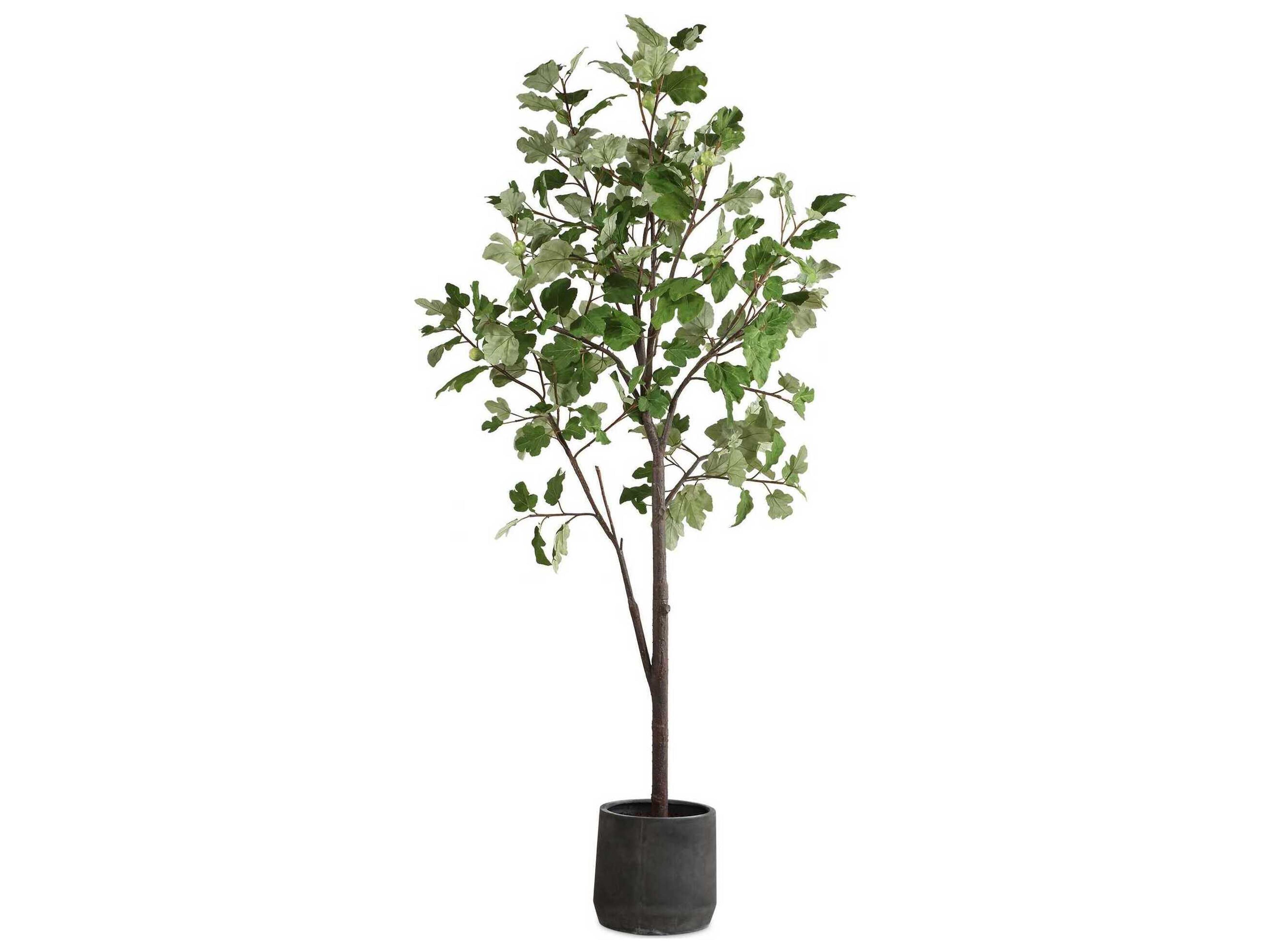 Uttermost Eden Potted Fig Tree