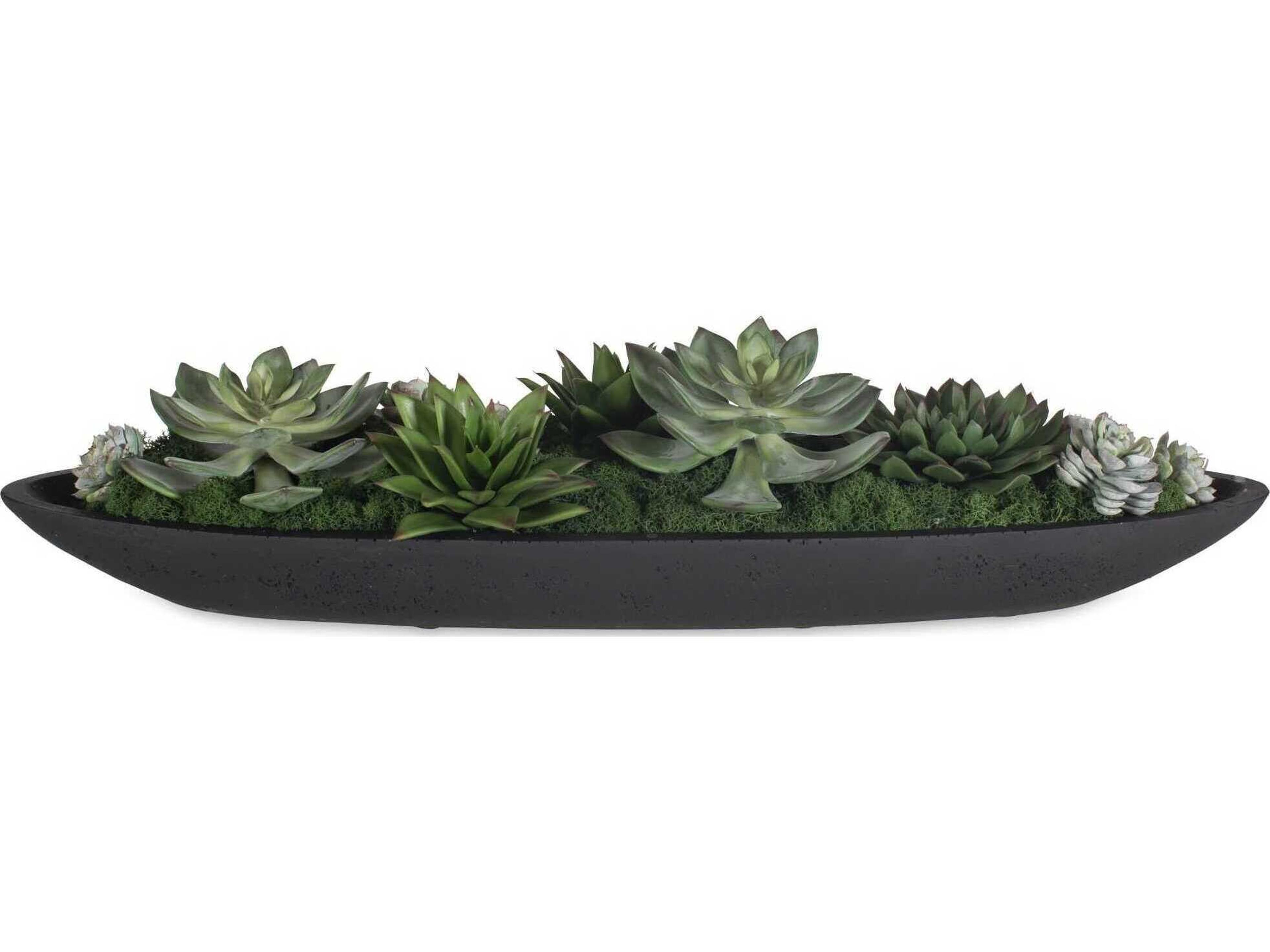 Verde Succulent Centerpiece In Bowl