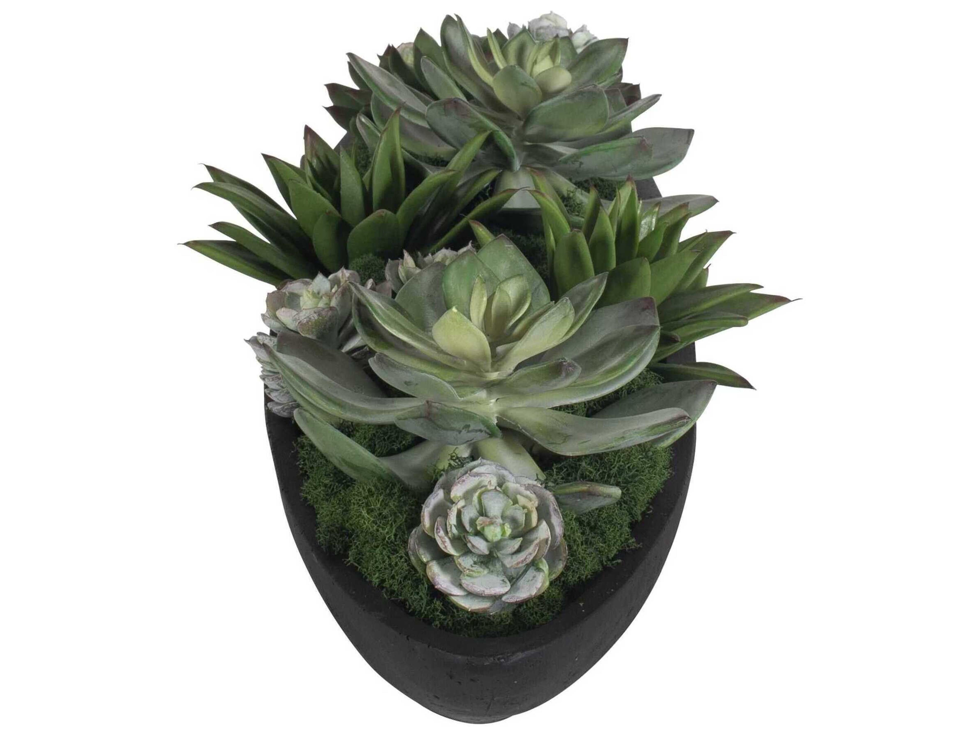 Uttermost Verde Succulent Centerpiece In Bowl