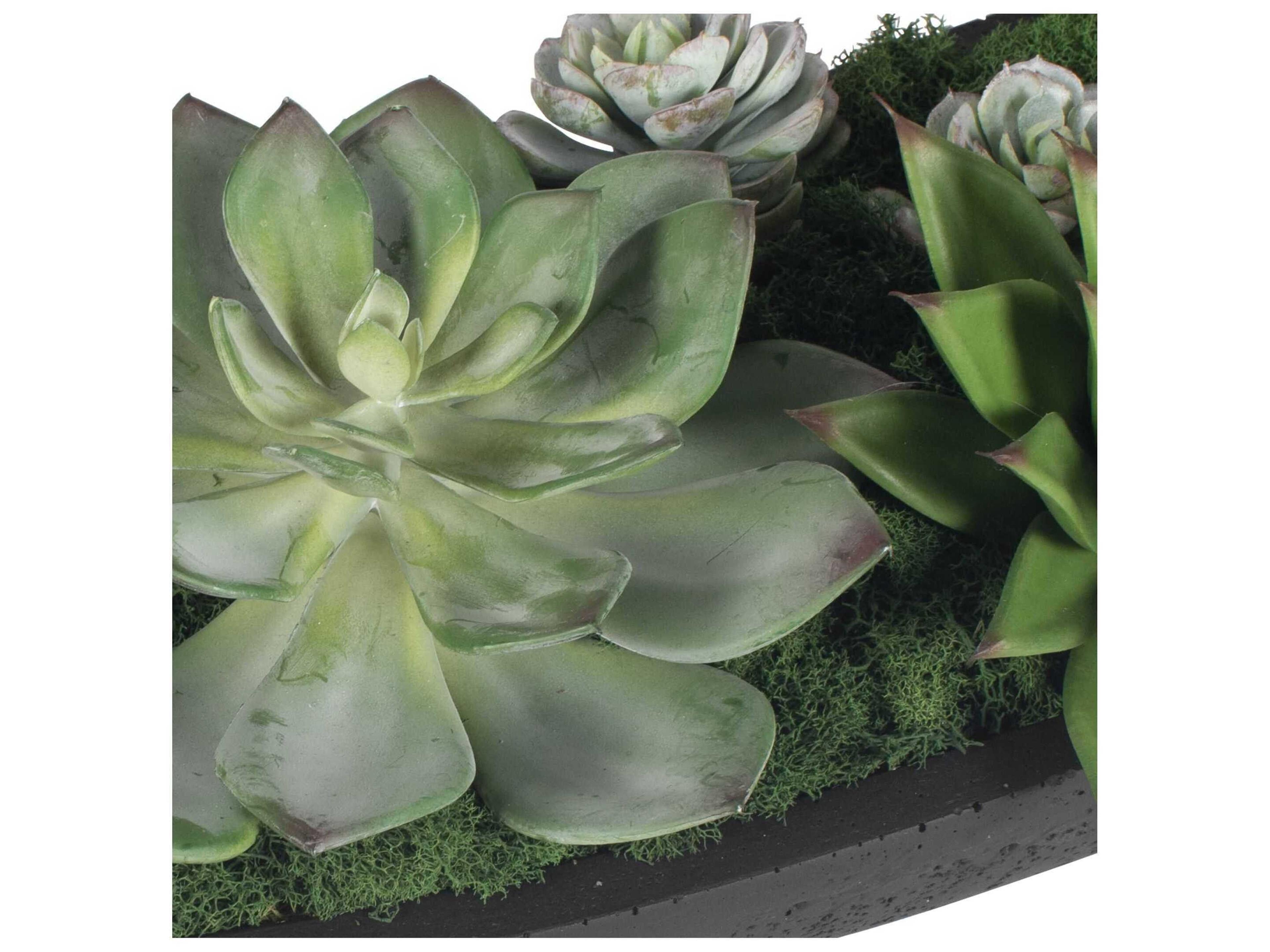 Uttermost Verde Succulent Centerpiece In Bowl