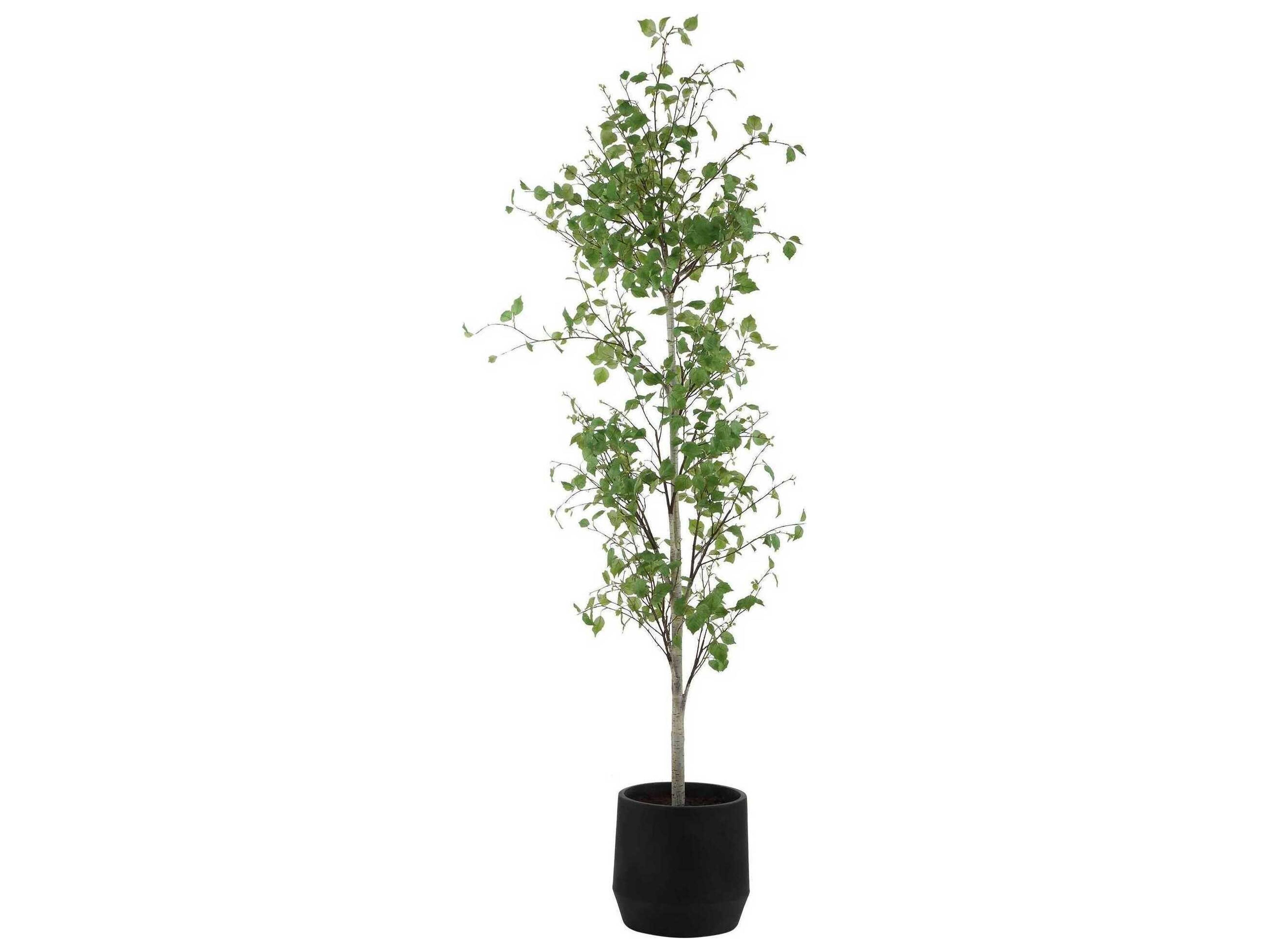 Uttermost Boreal Potted Birch Tree