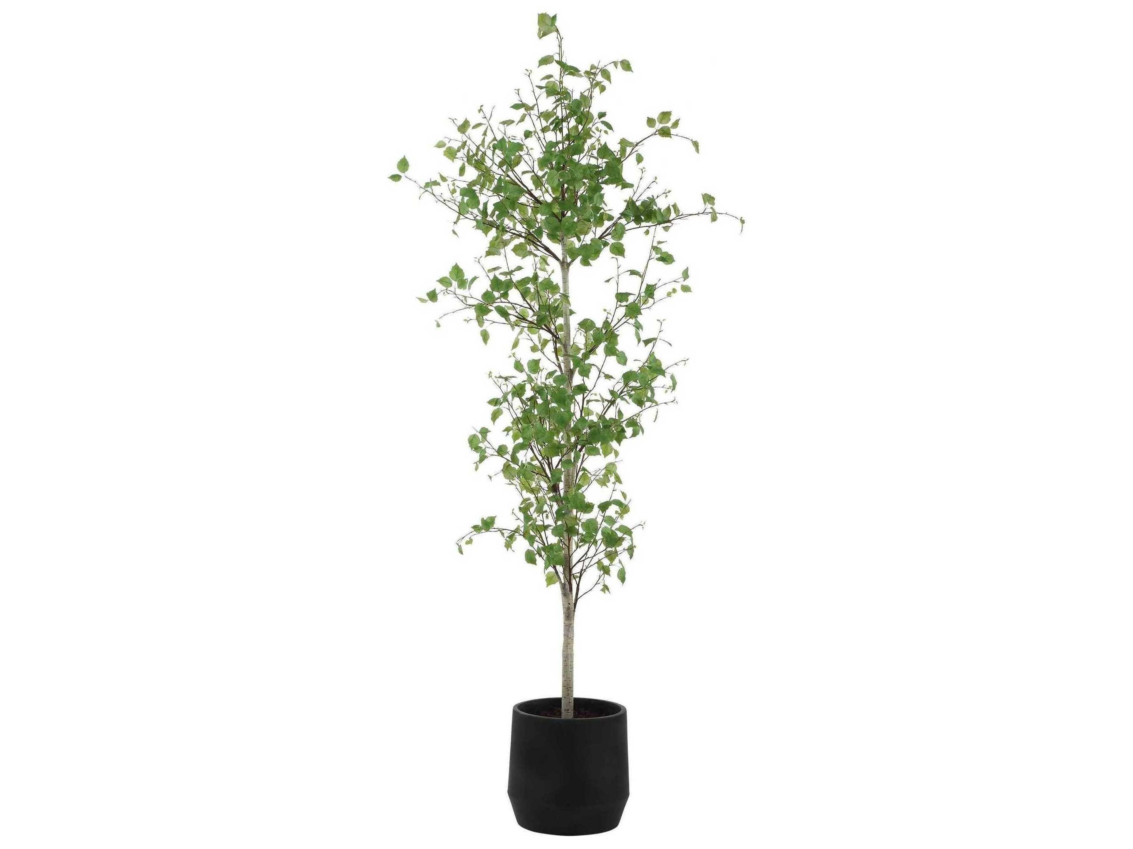 Uttermost Boreal Potted Birch Tree