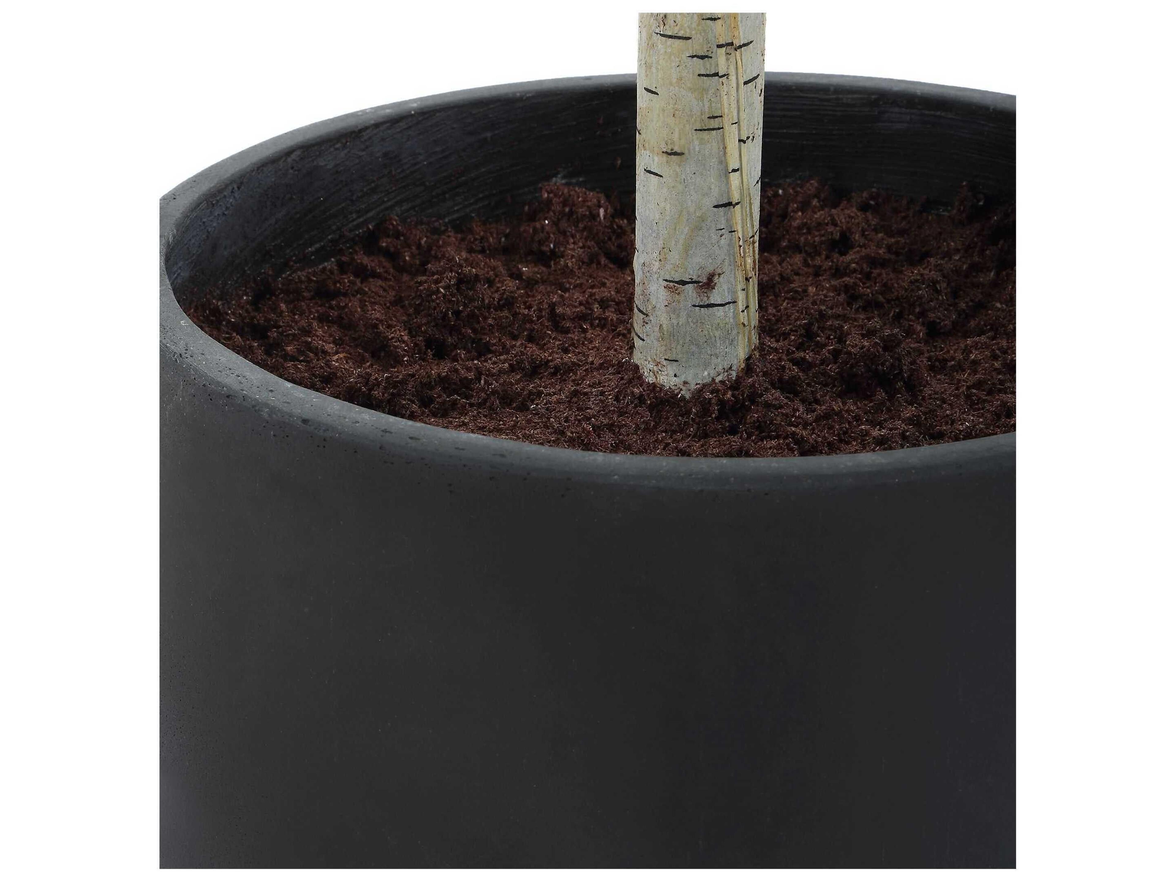 Uttermost Boreal Potted Birch Tree