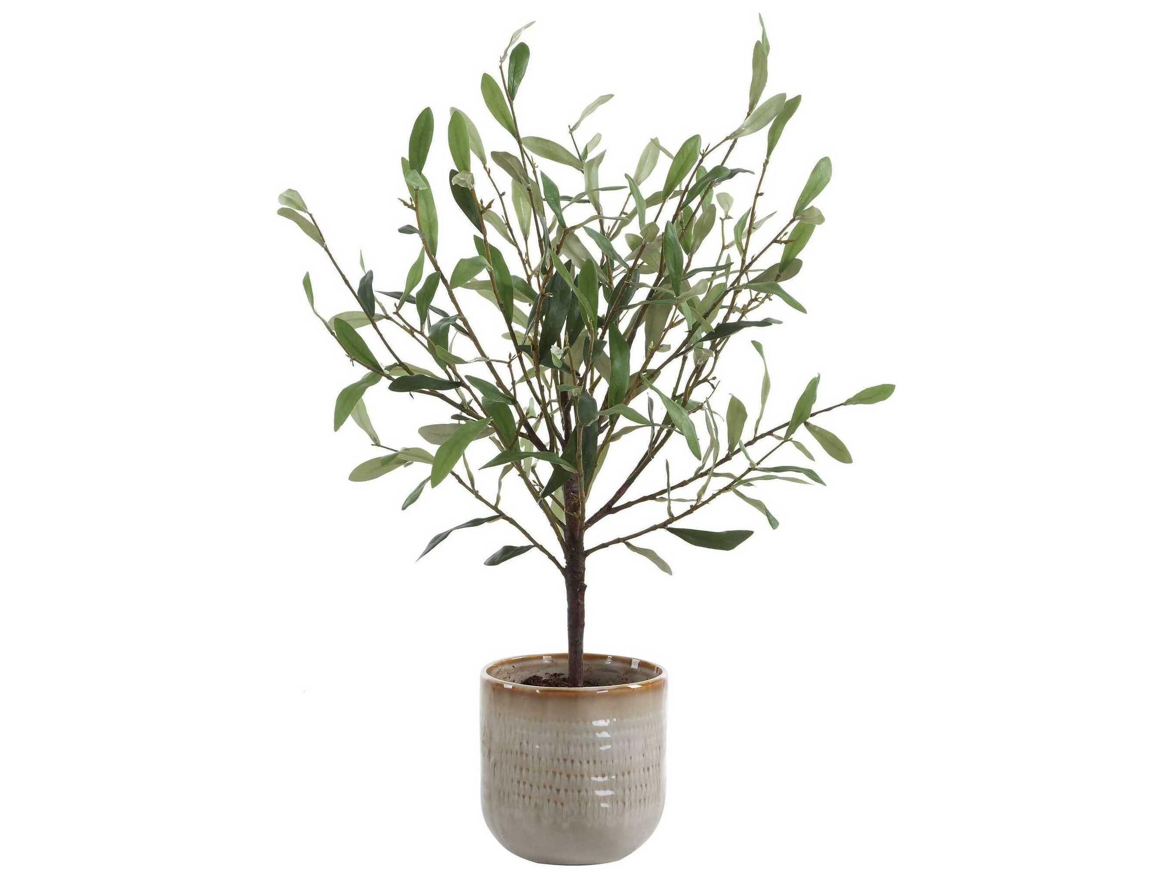 Uttermost Solea Olive Accent & Textured Vase