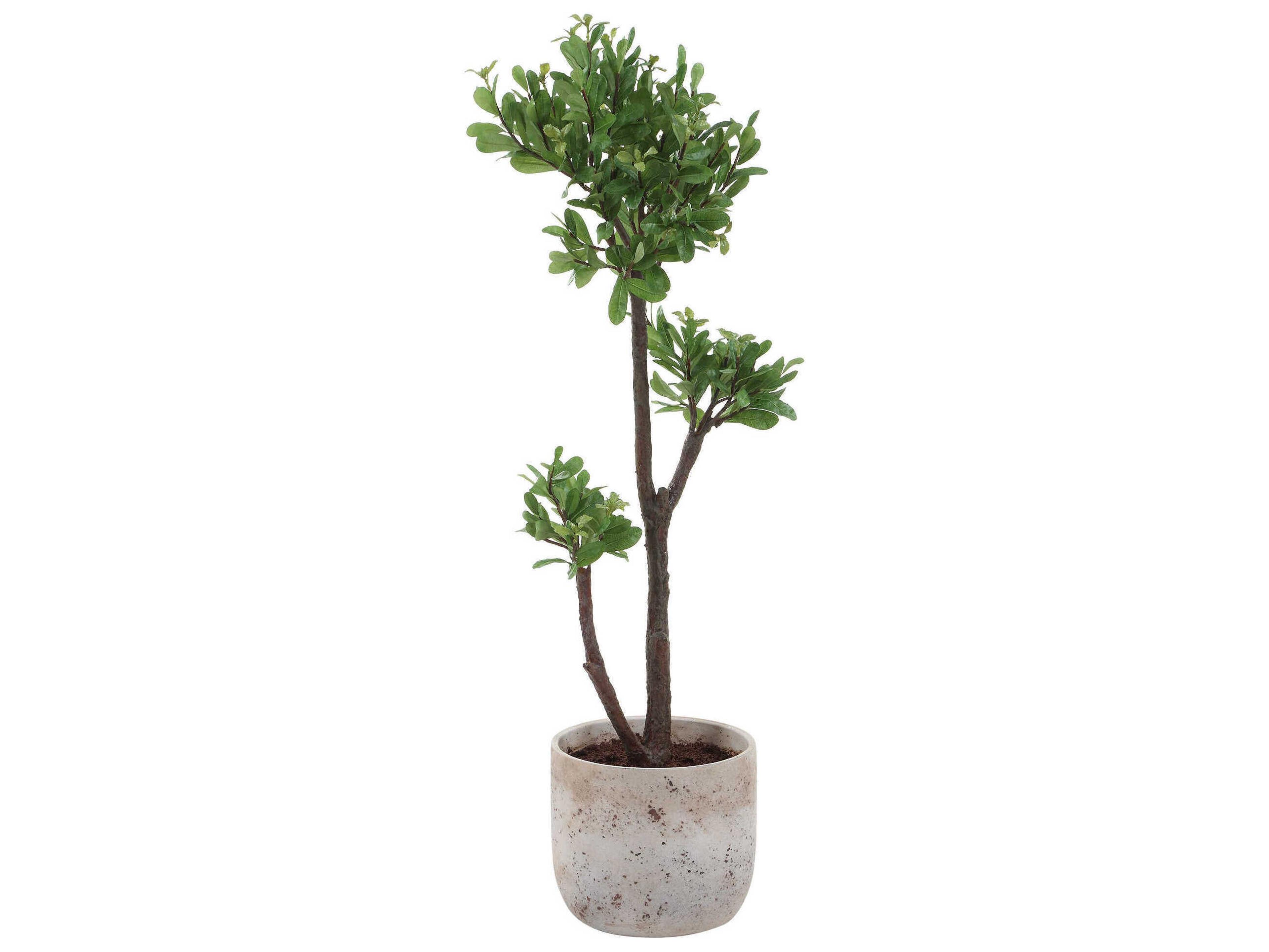 Uttermost Arbor Strawberry Tree