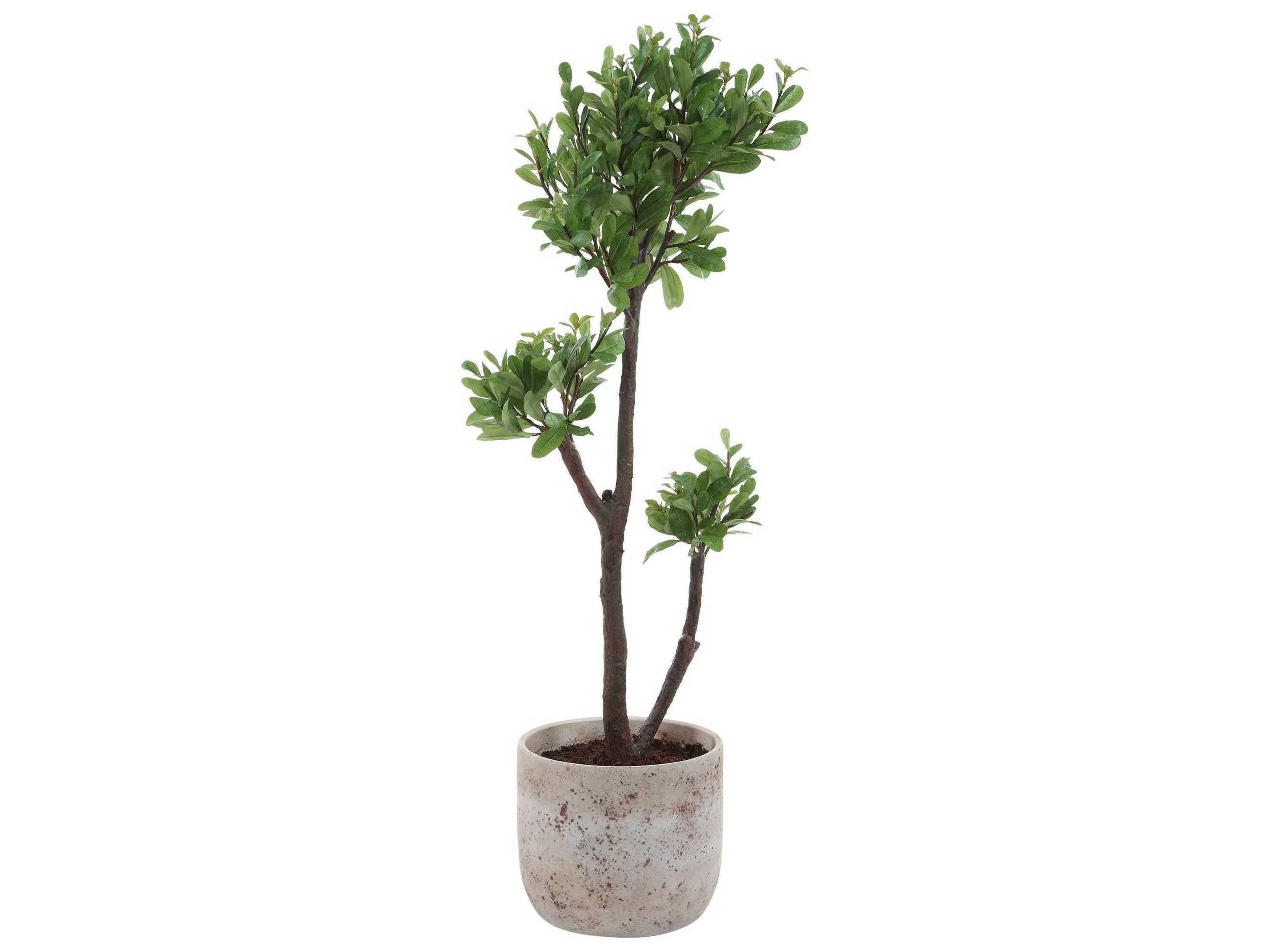 Uttermost Arbor Strawberry Tree