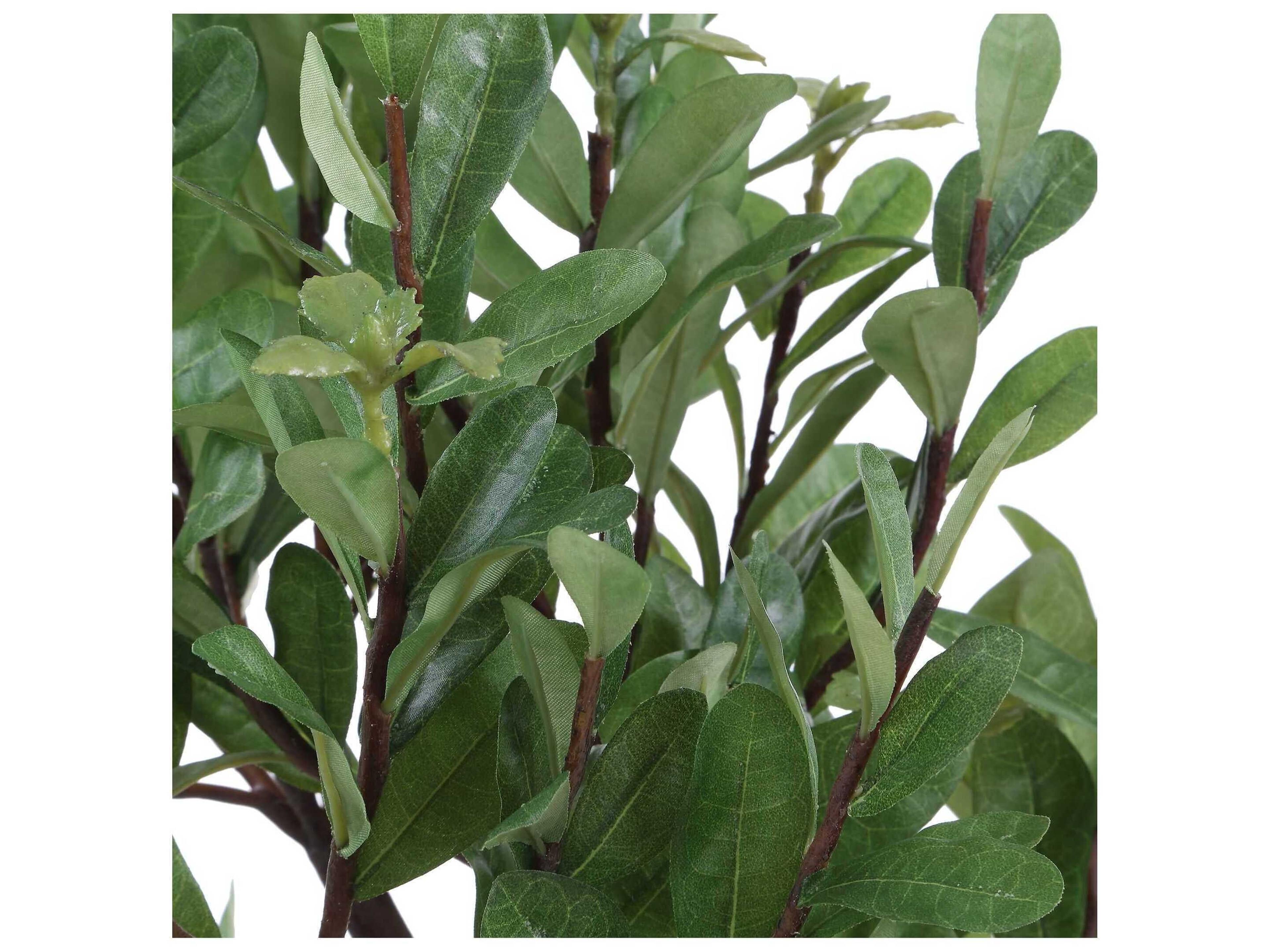 Uttermost Arbor Strawberry Tree