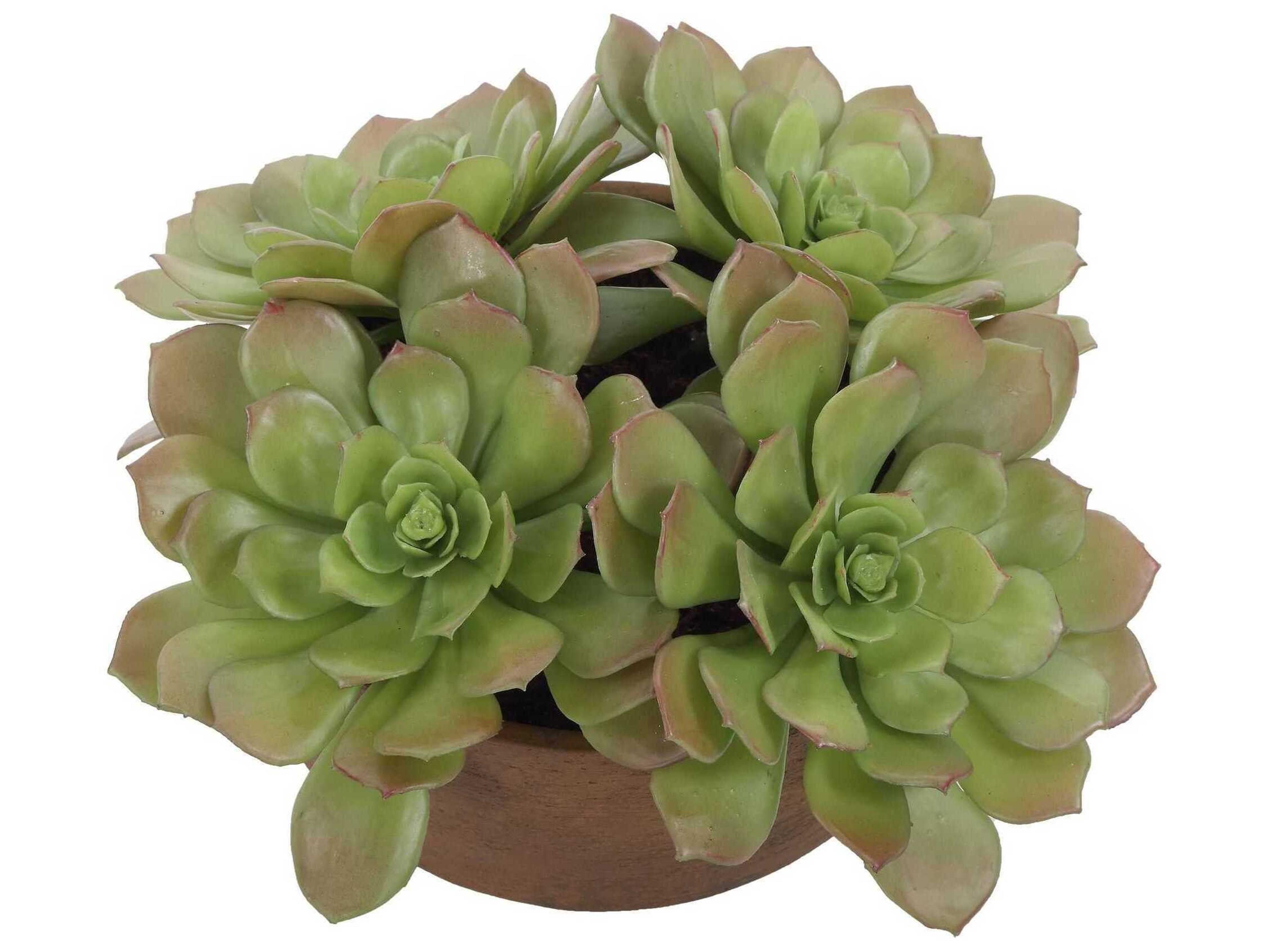 Uttermost Sable Succulent Accent In Pot