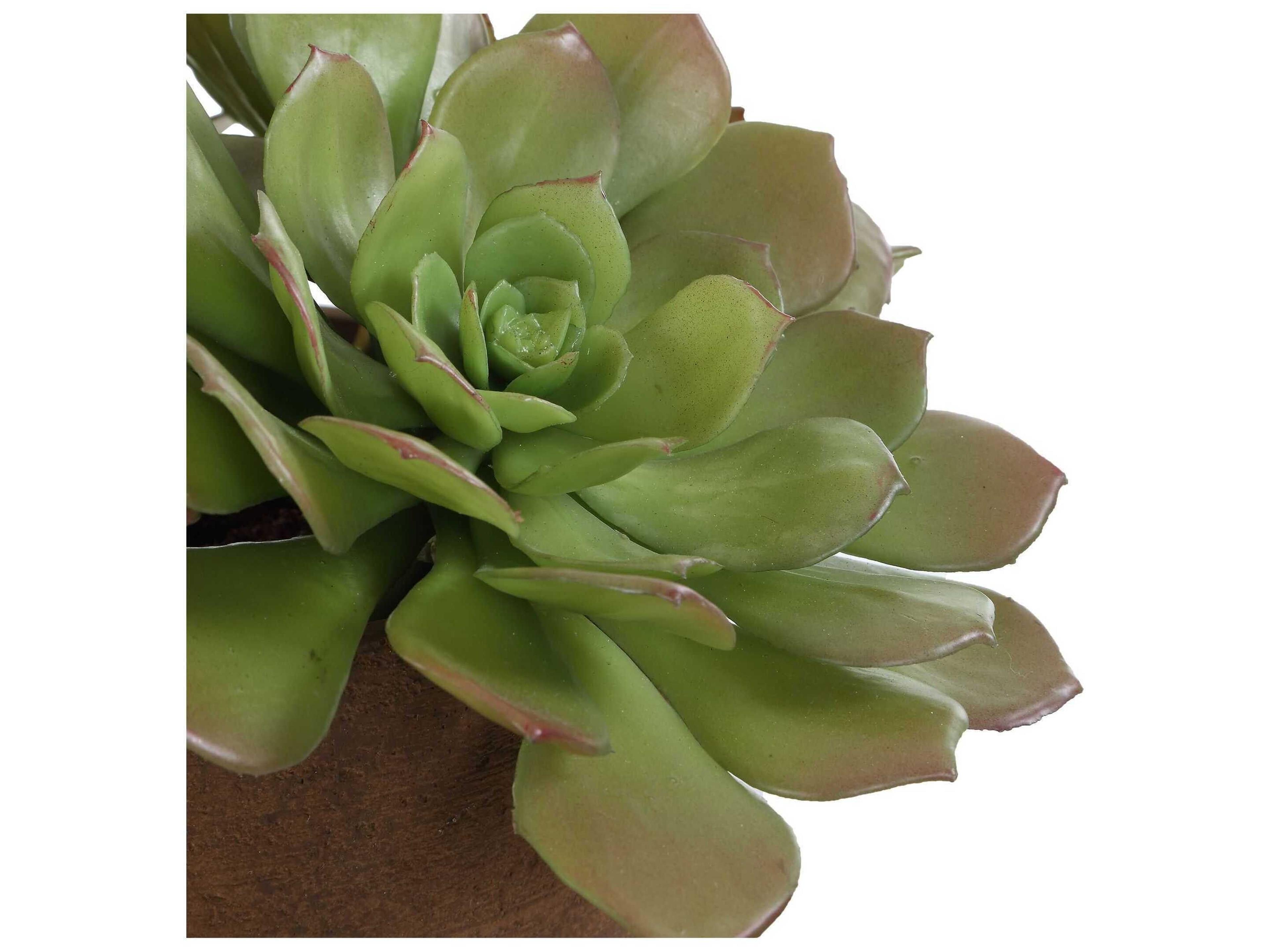 Uttermost Sable Succulent Accent In Pot