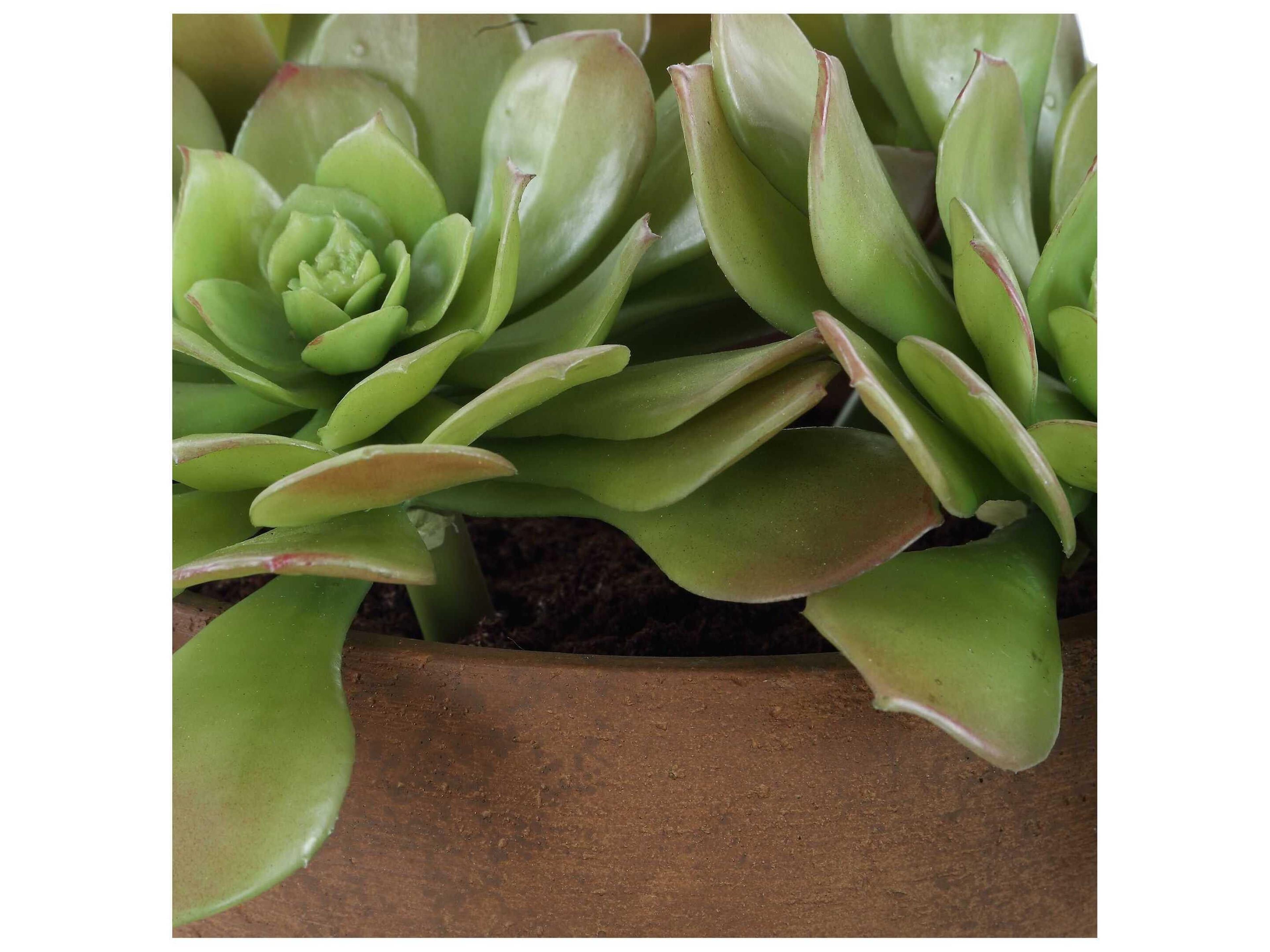Uttermost Sable Succulent Accent In Pot