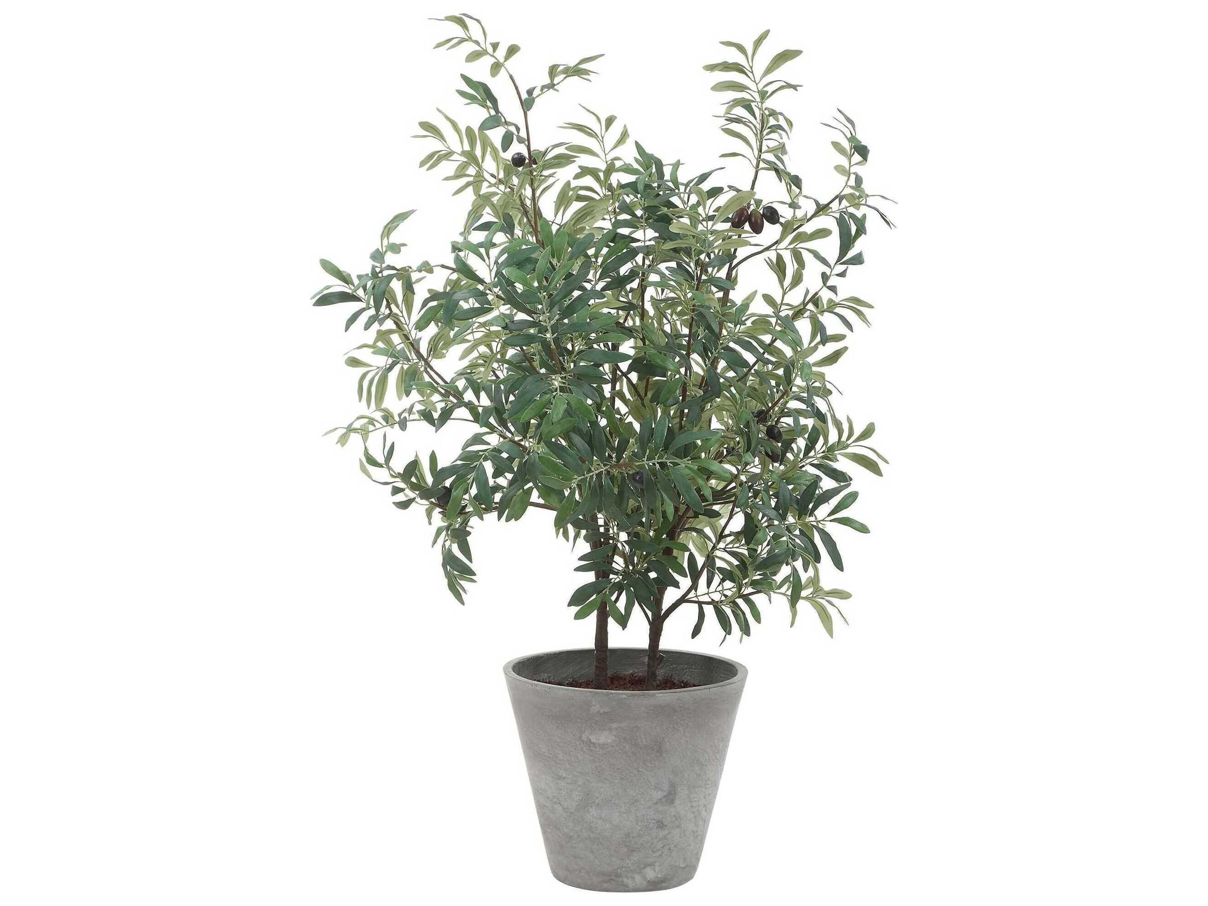 Uttermost Marisol Potted Olive Plant