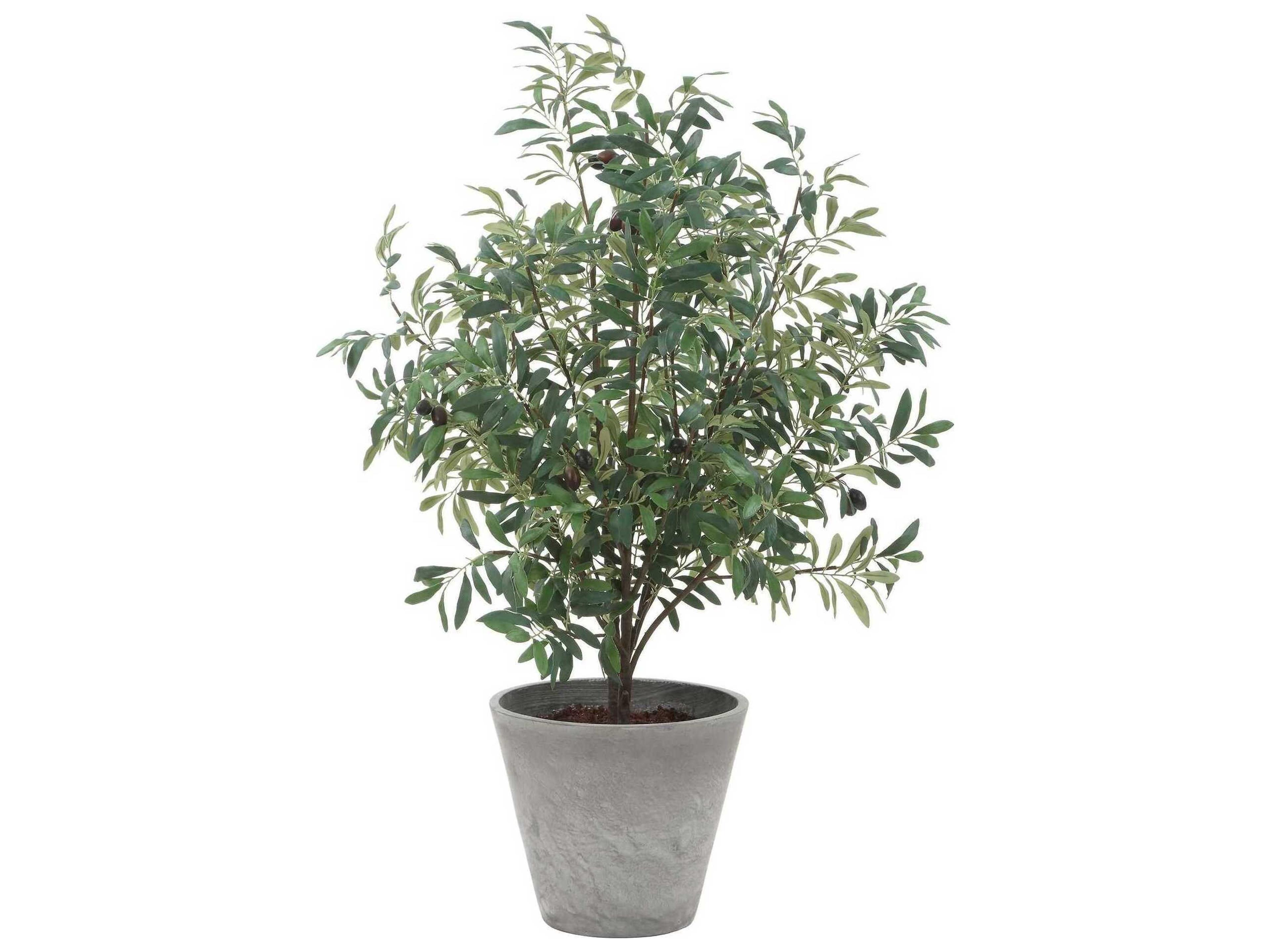 Uttermost Marisol Potted Olive Plant
