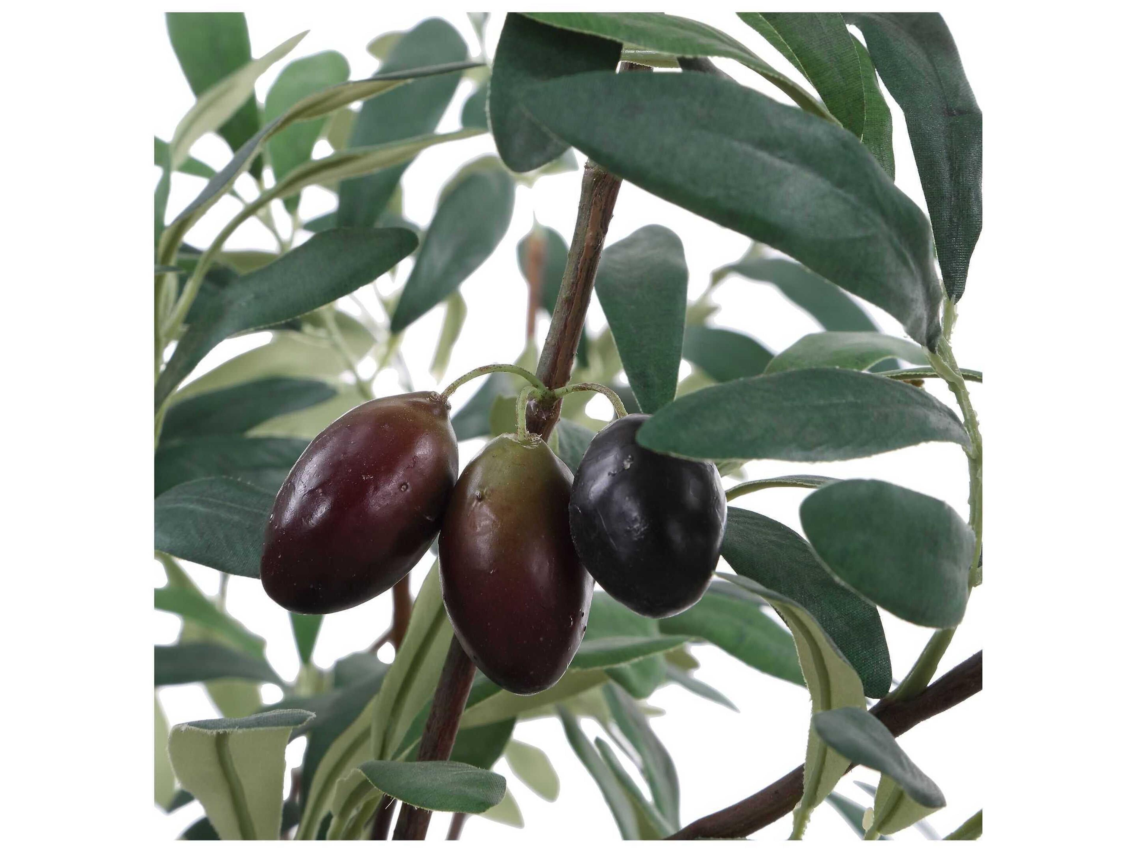 Uttermost Marisol Potted Olive Plant