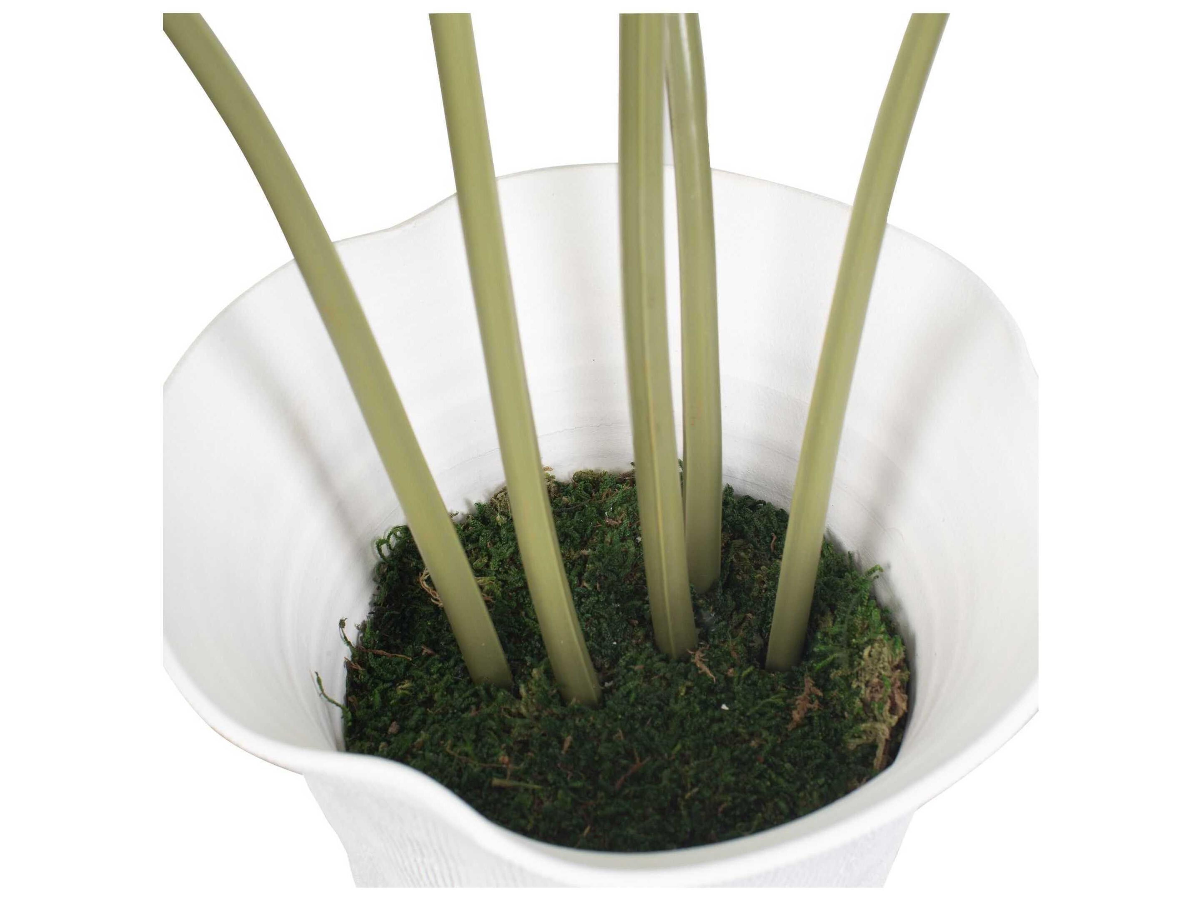 Uttermost Marisol Potted Olive Plant