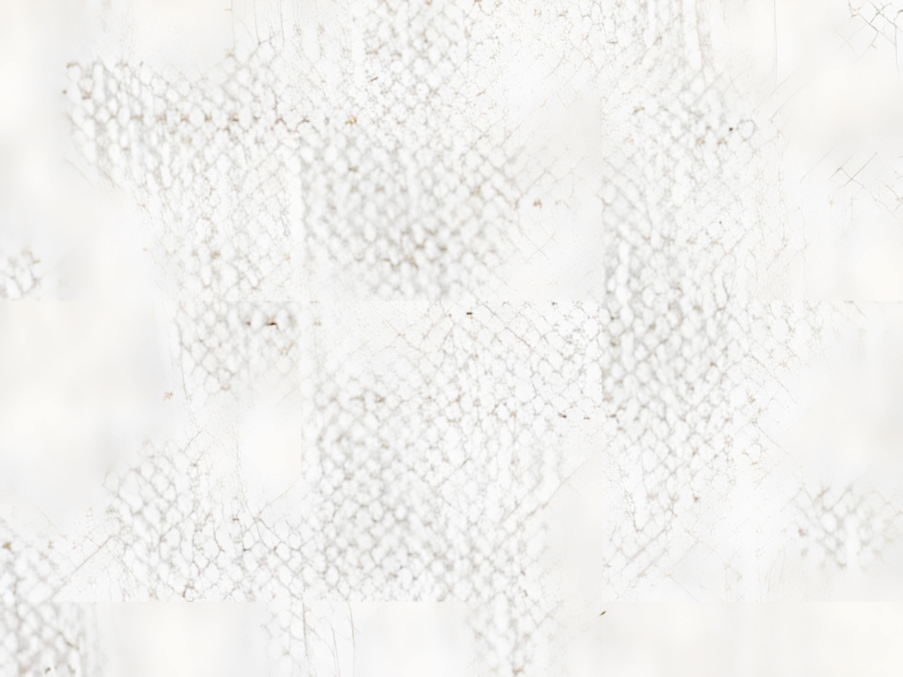 Vanguard Furniture Ease Leone Left Arm Two Seat Sofa