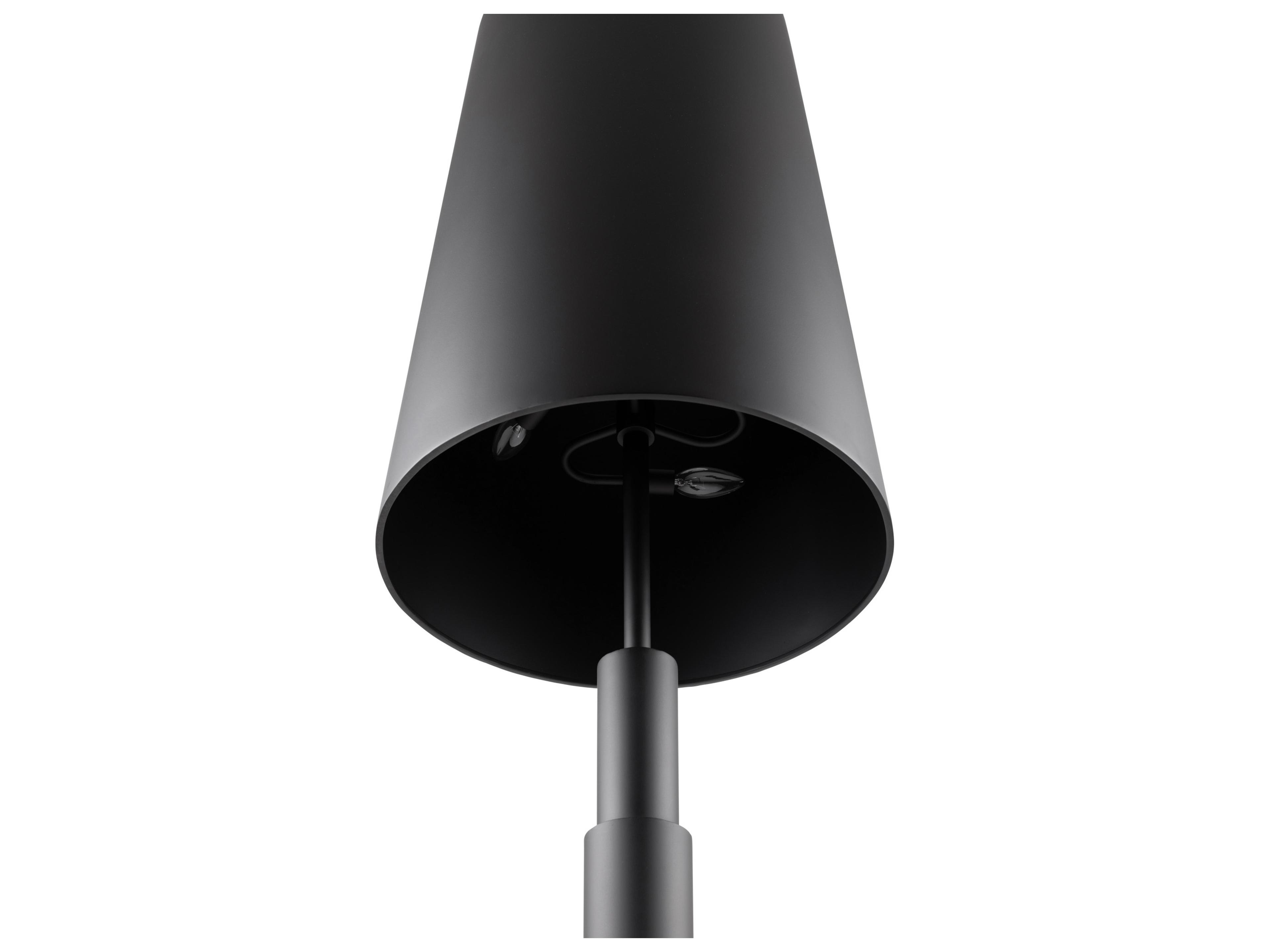 Varaluz Giustino Black Floor Lamp