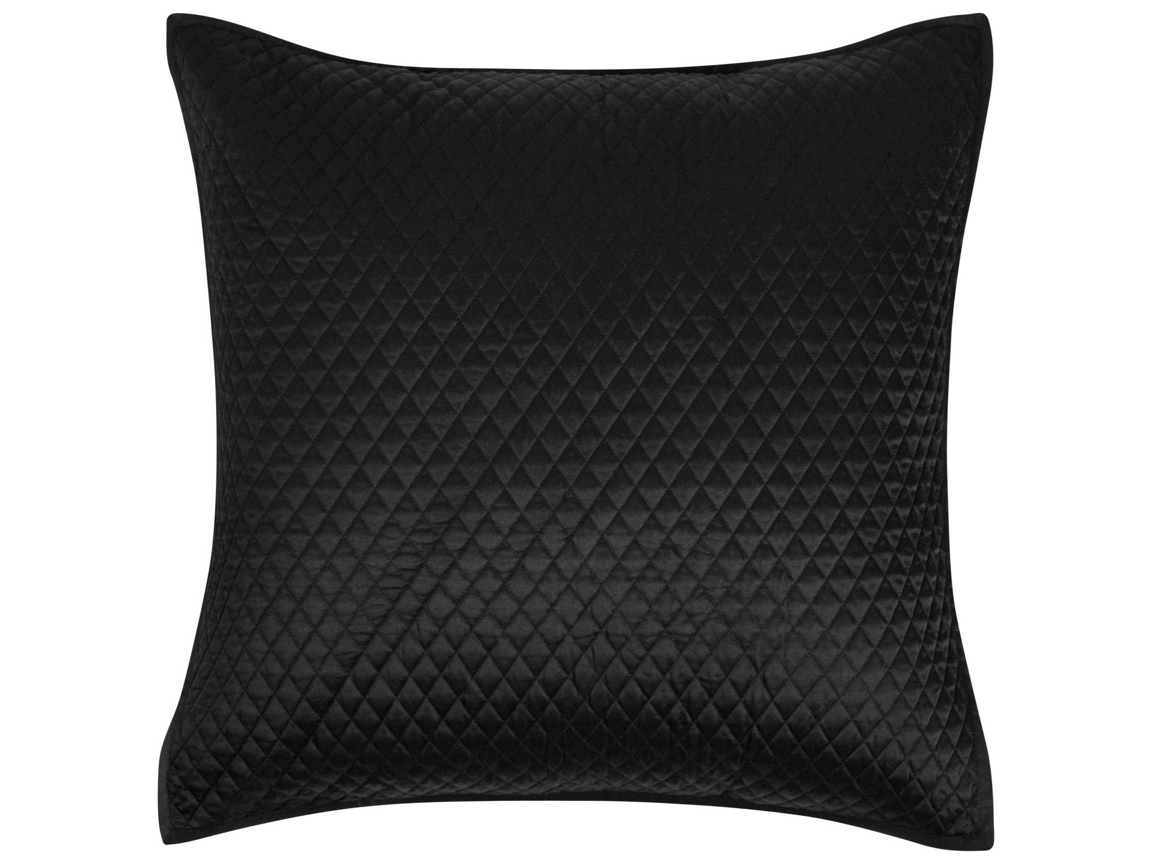 Winthrop Black Euro Sham