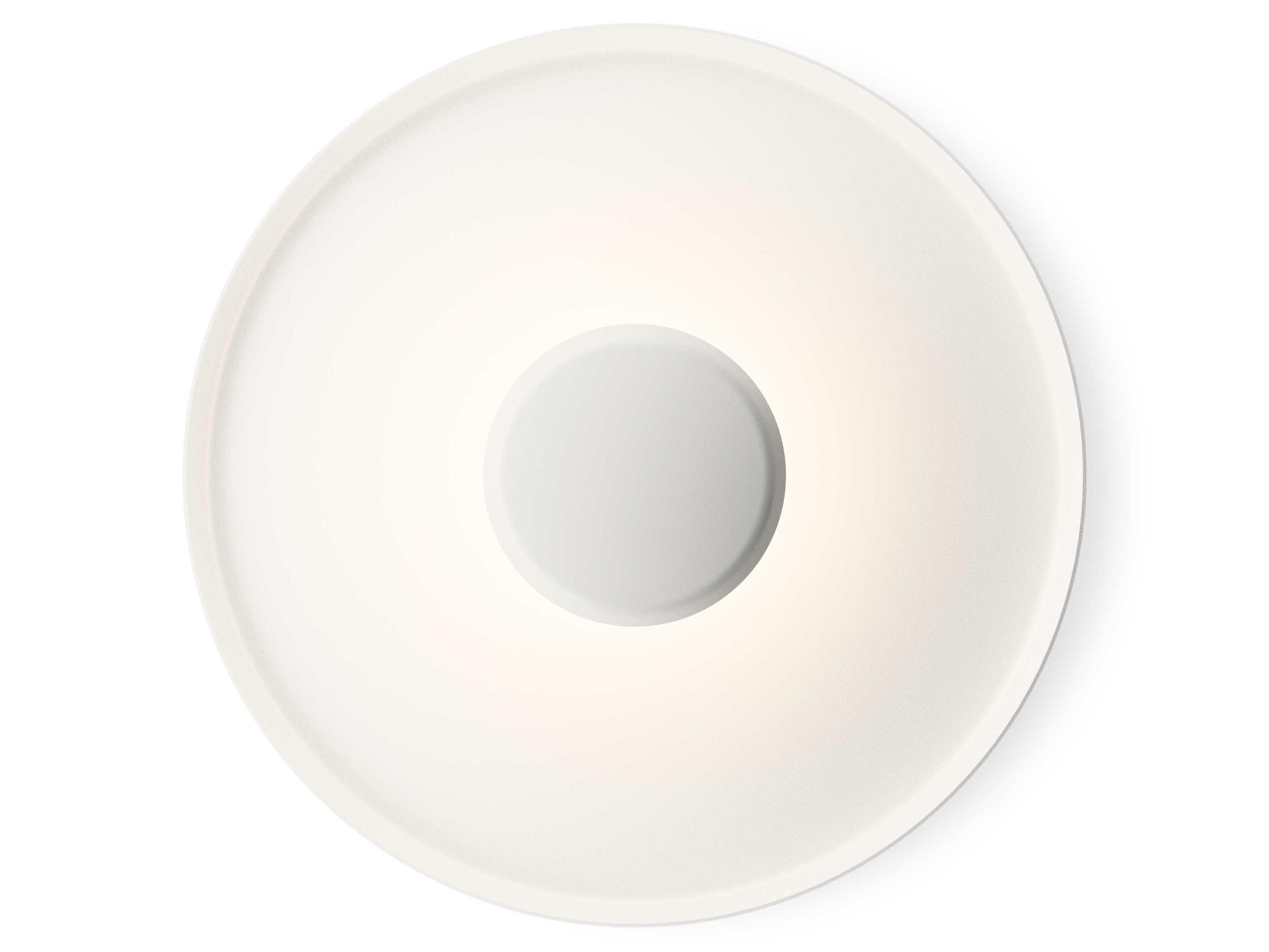 Top 1-Light White Wall Sconce