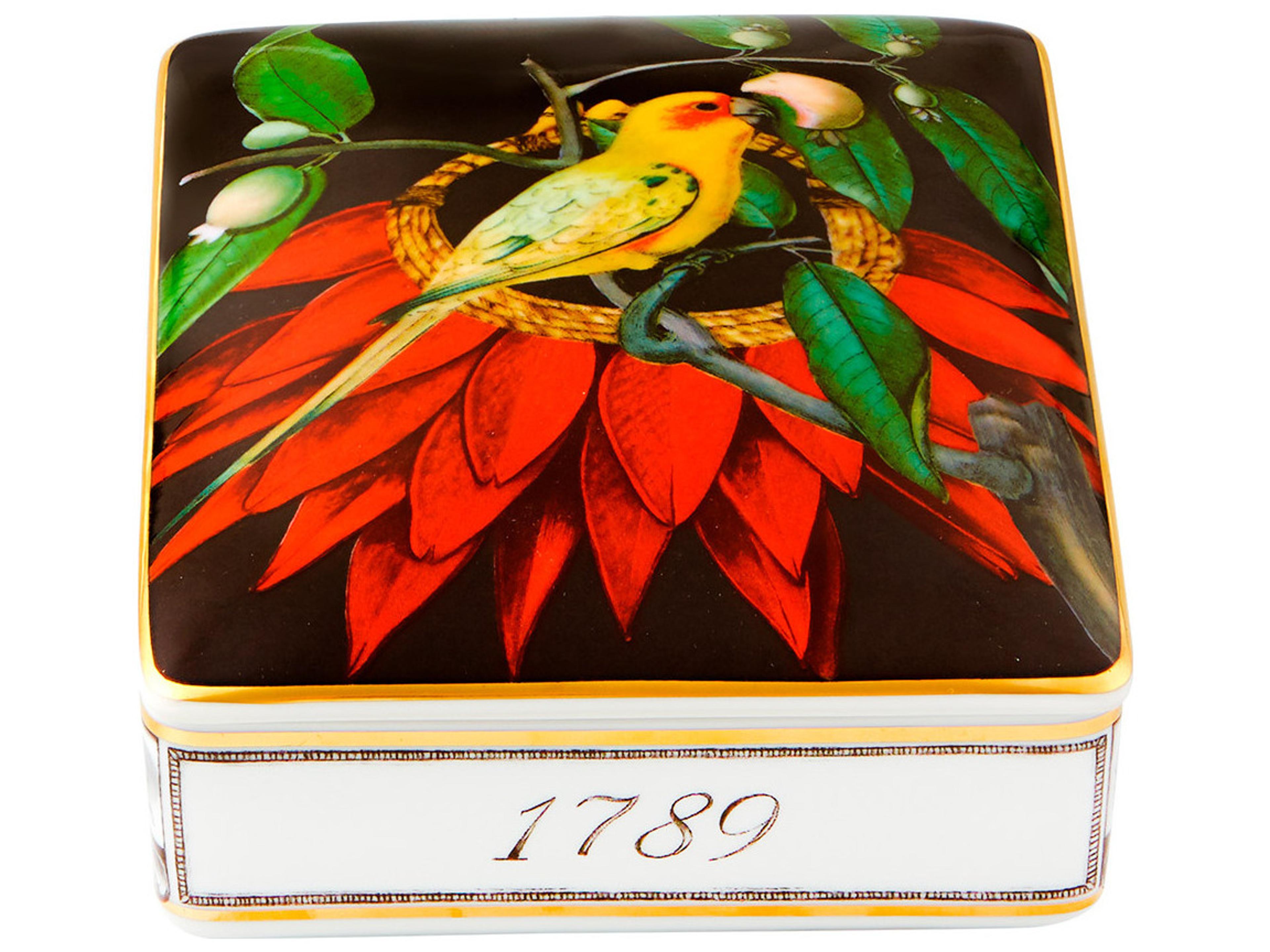 Amazonia Dark Card Box