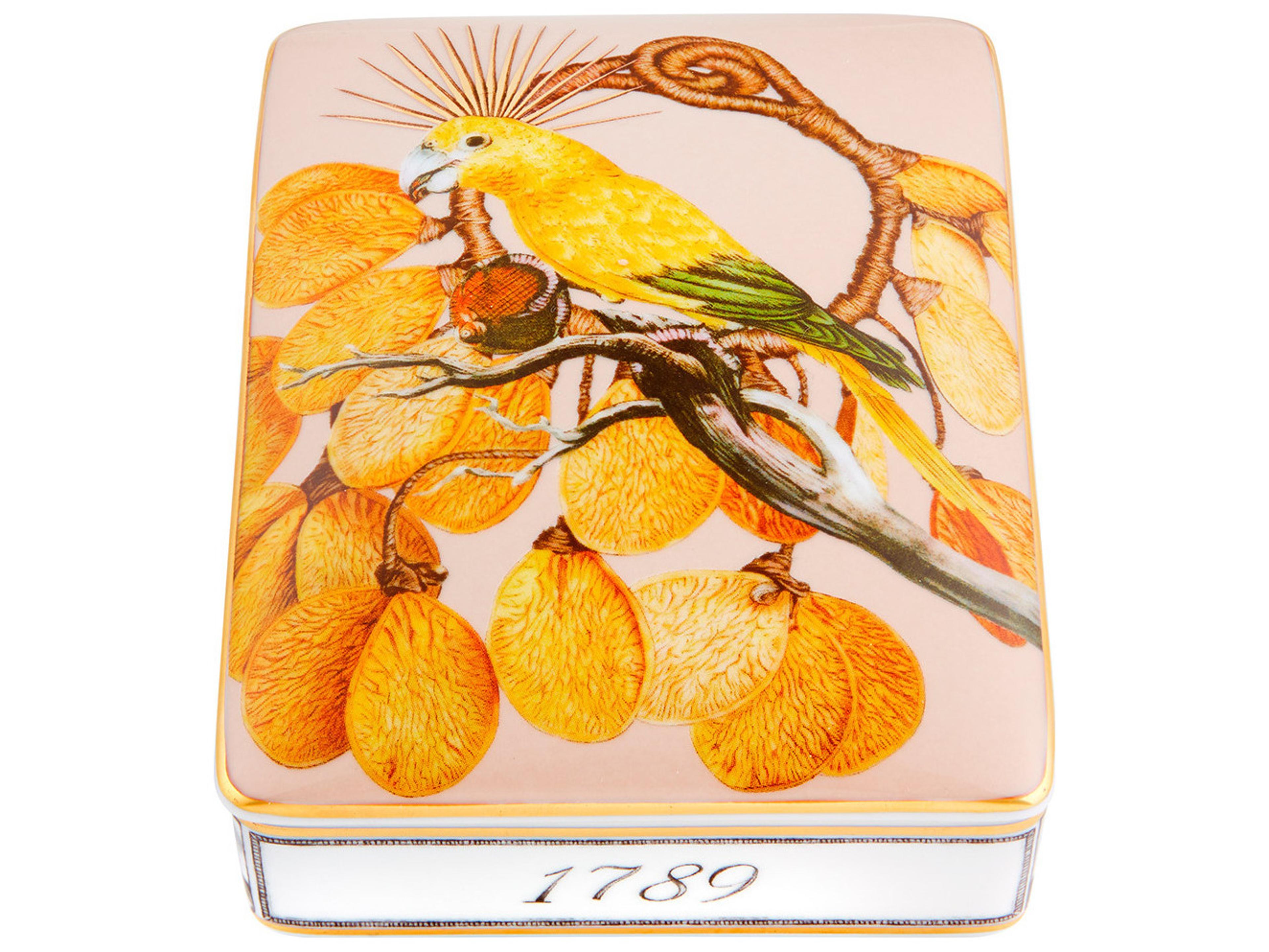 Amazonia Lighter Card Box