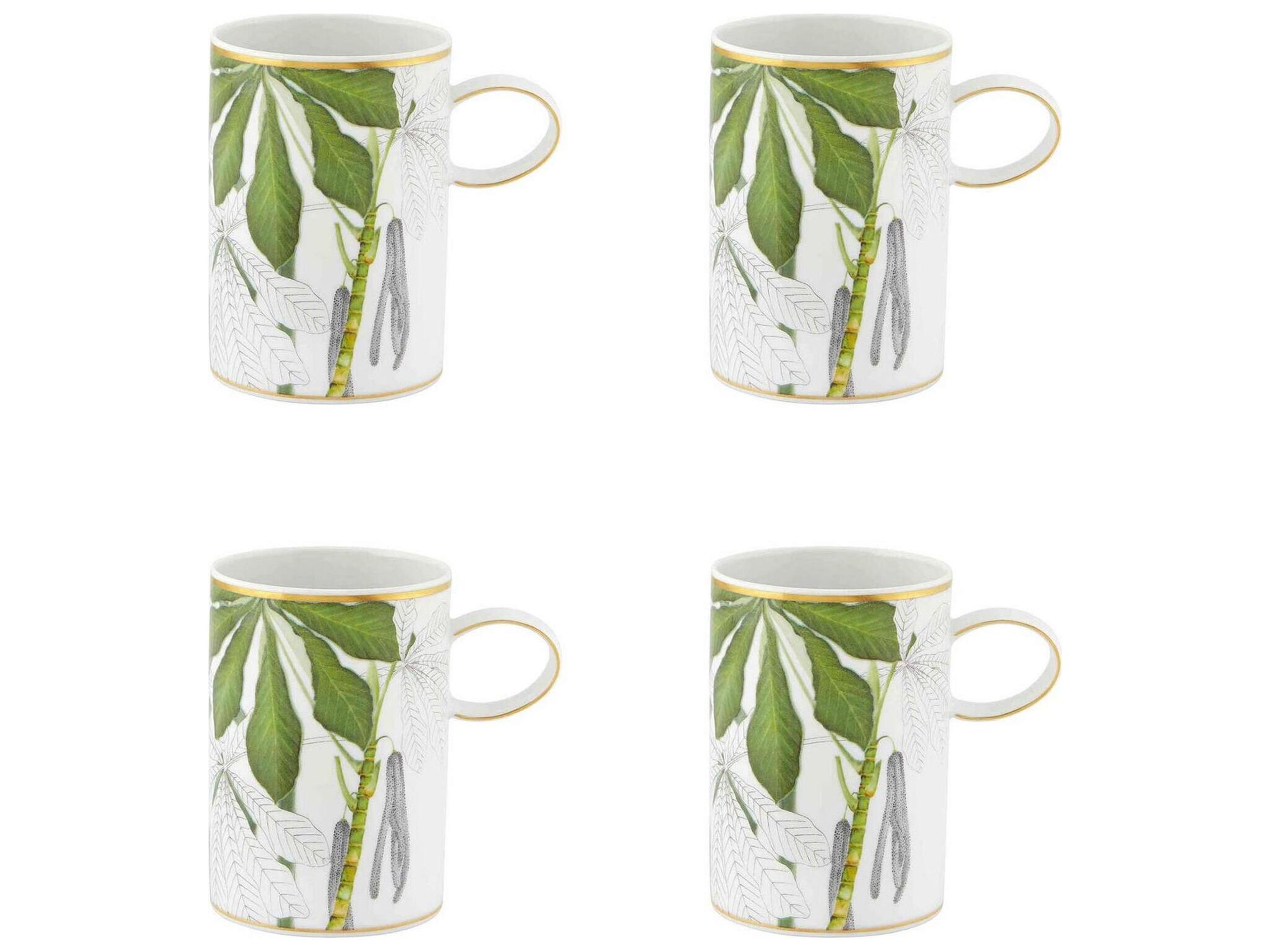 Amazonia Mug Set of 4