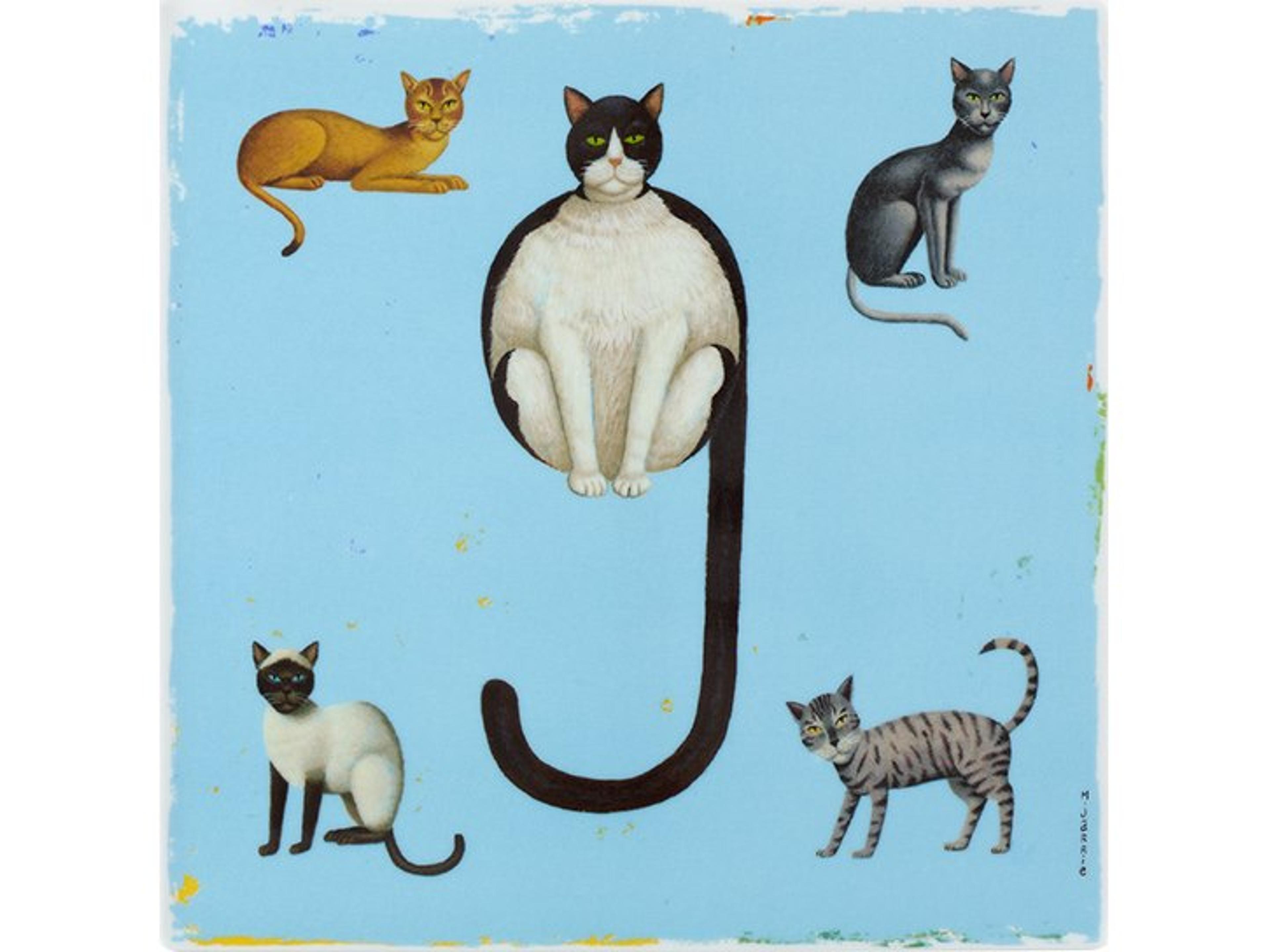 Vida Porcelain Plaque Number 9