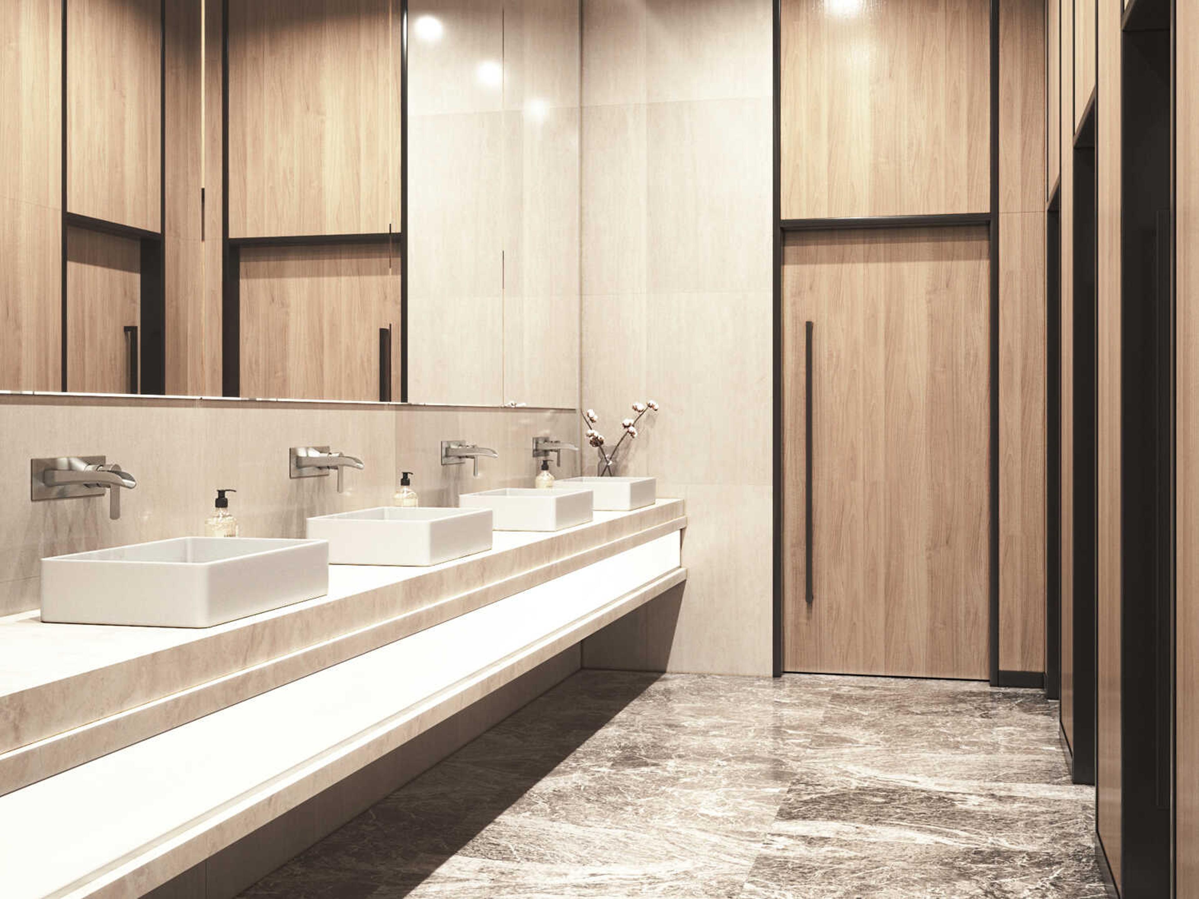 Vigo Cornelius Brushed Nickel 1-Handle Wall-Mount Bathroom Faucet