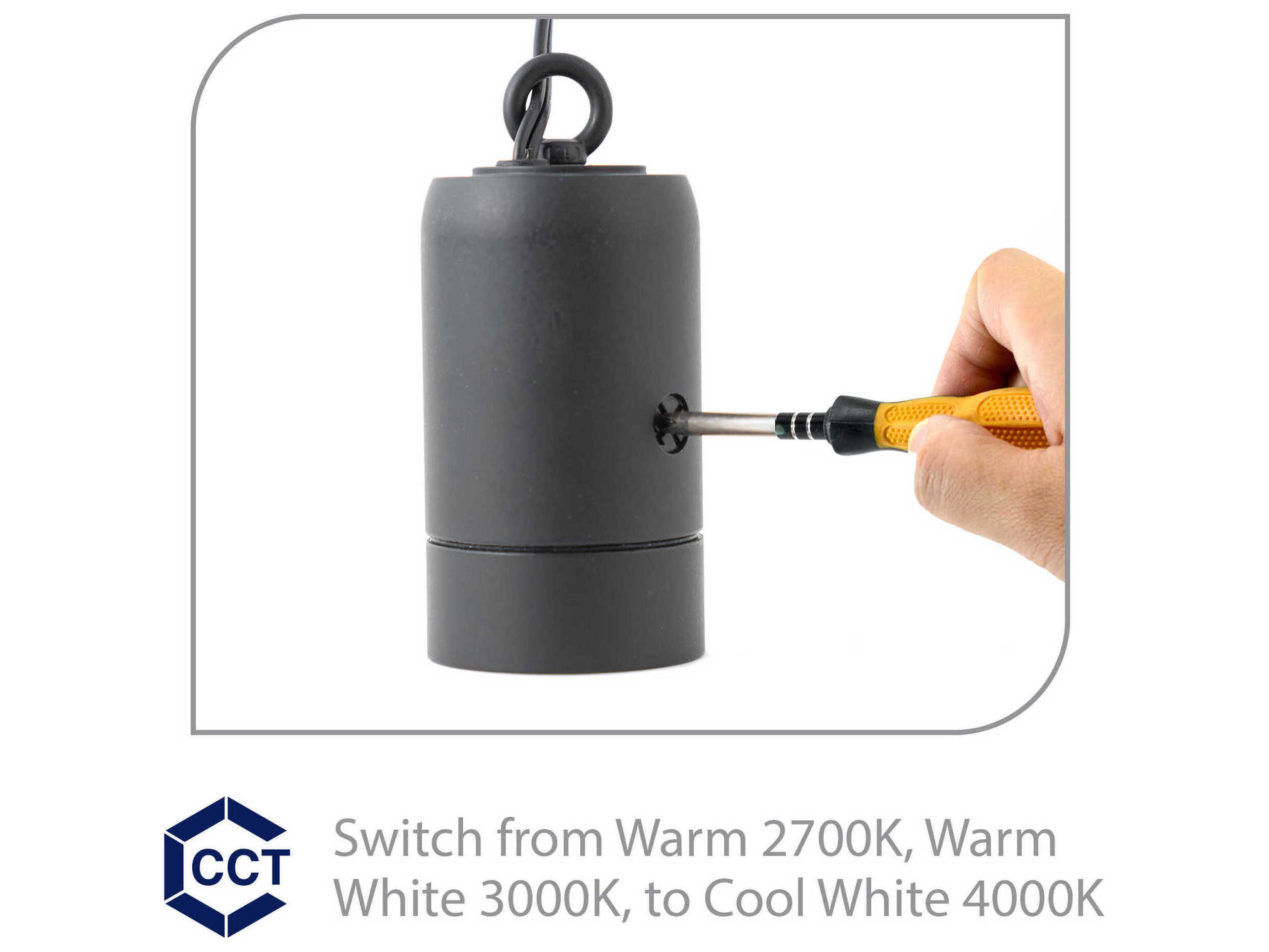 WAC Lighting Estrella 1-Light Outdoor Hanging Light