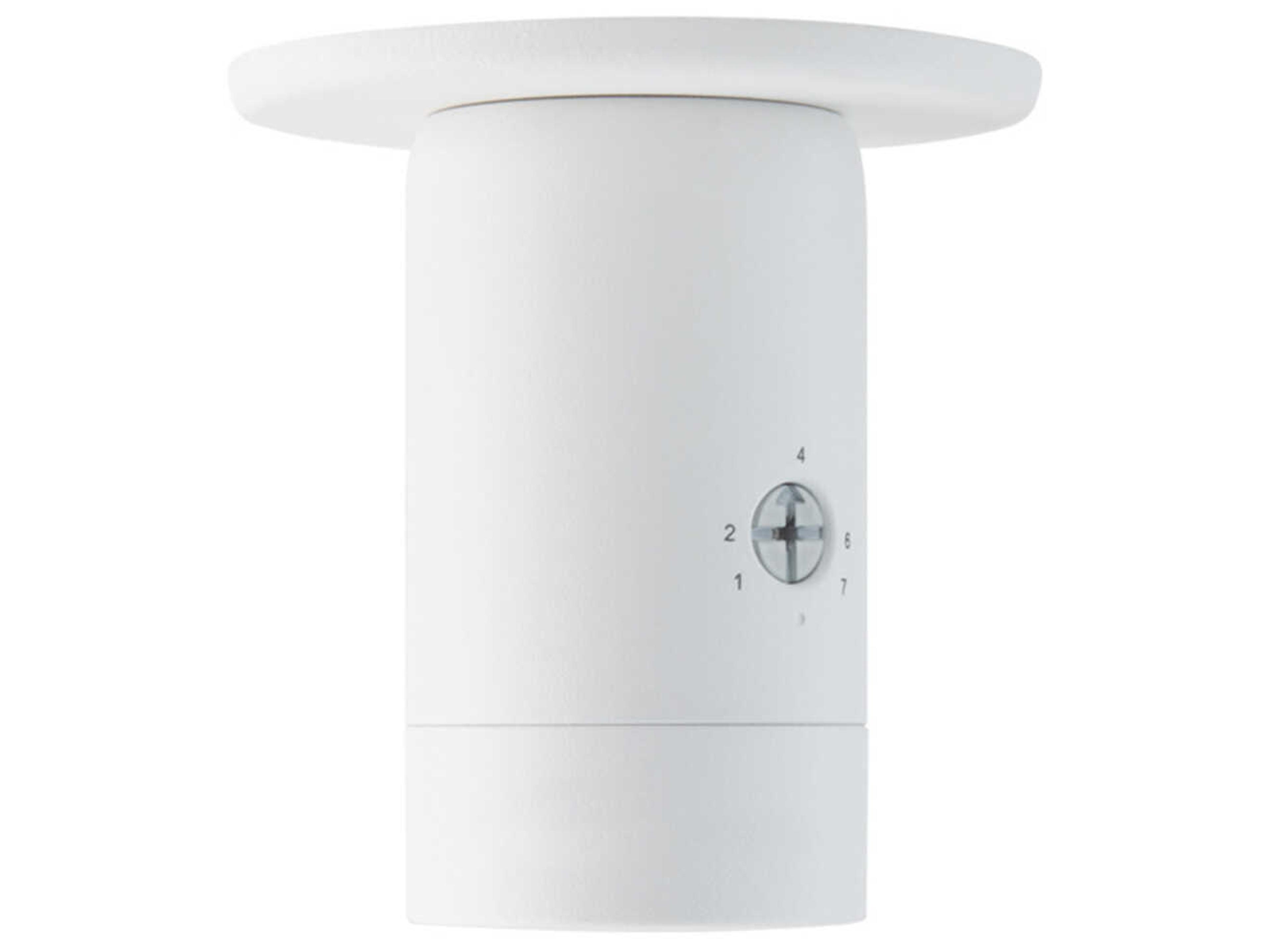 WAC Lighting Estrella 1-Light Outdoor Ceiling Light