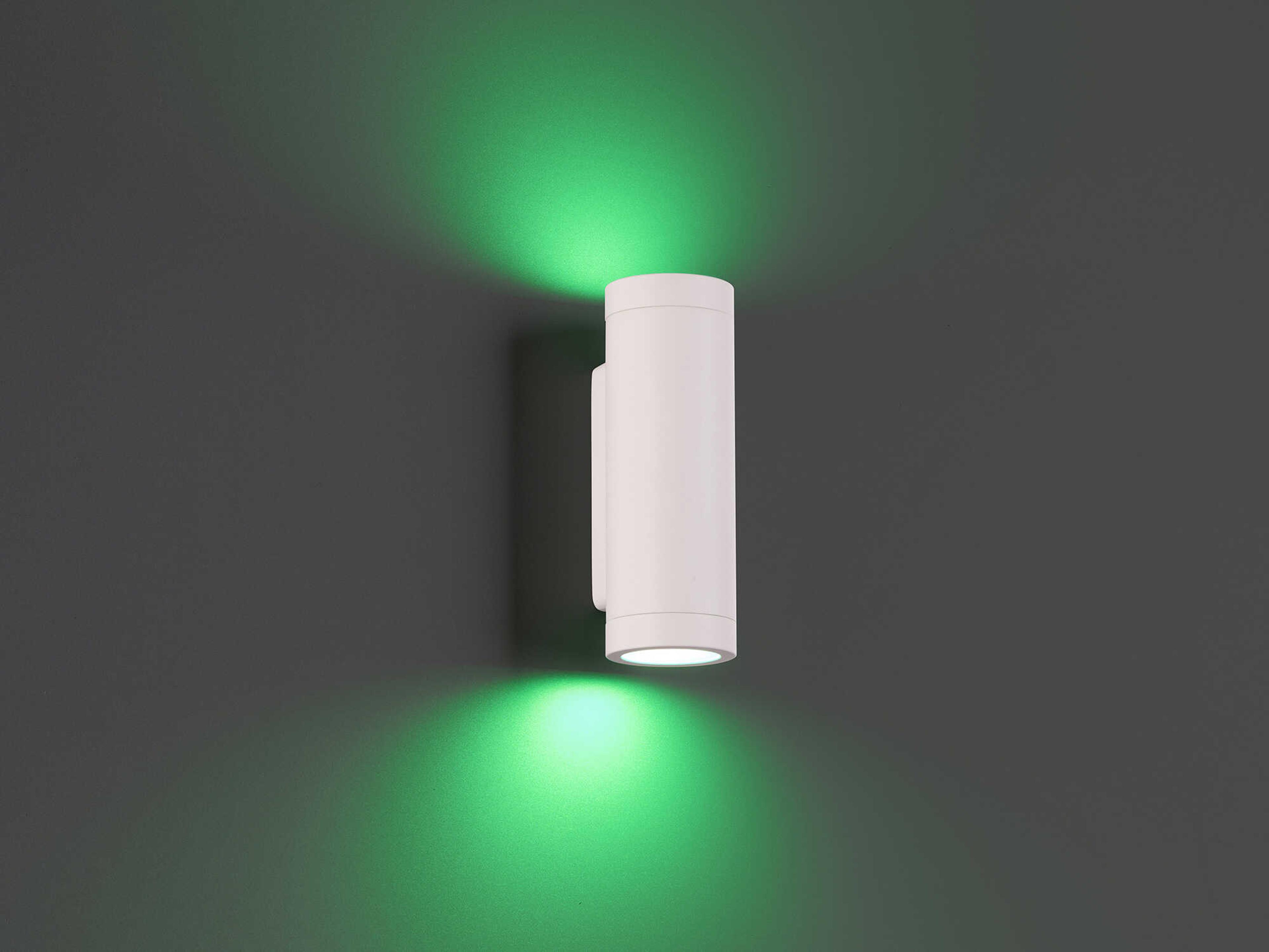 WAC Lighting Colorscaping 2-Light Outdoor Wall Light